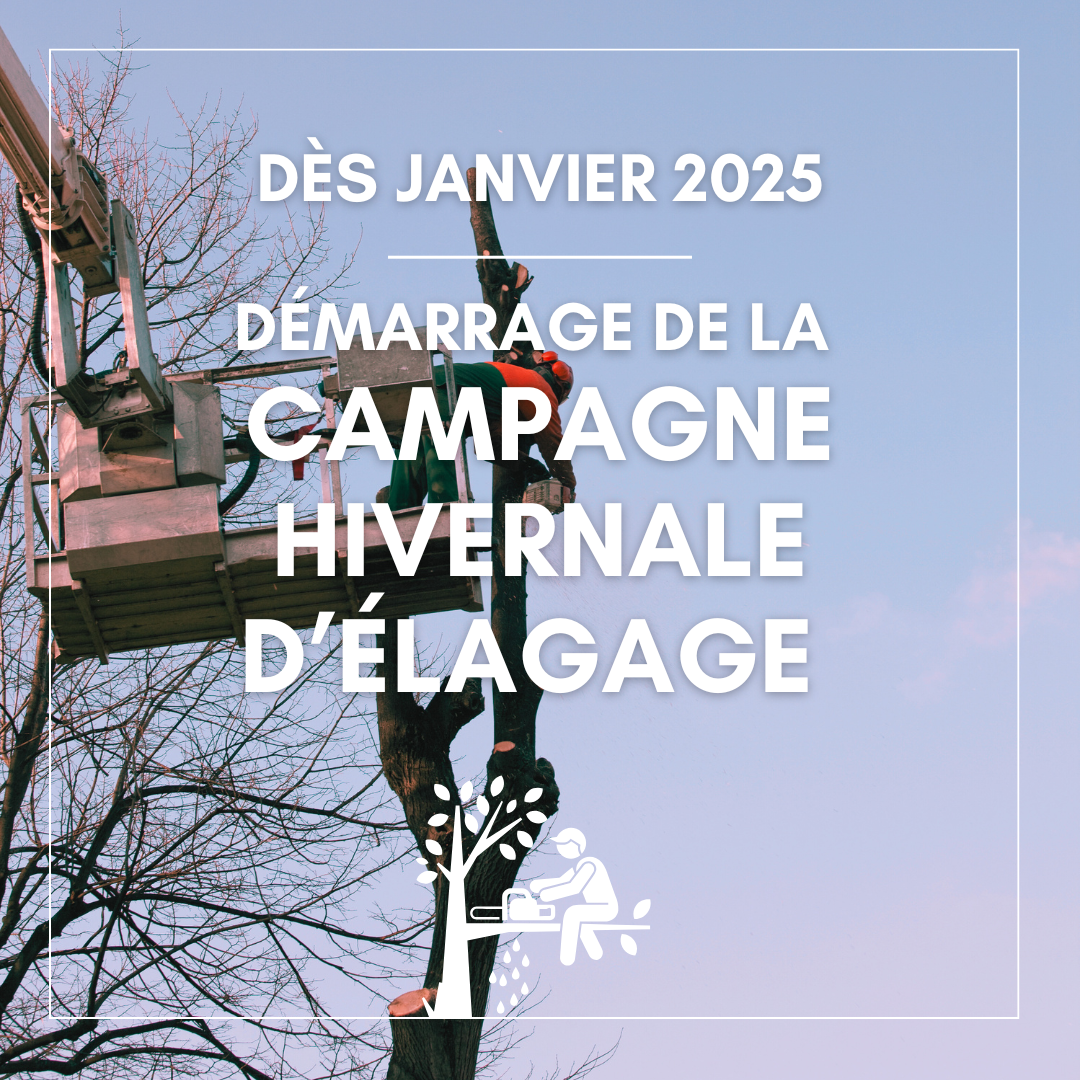 Campagne d'élagage 2025