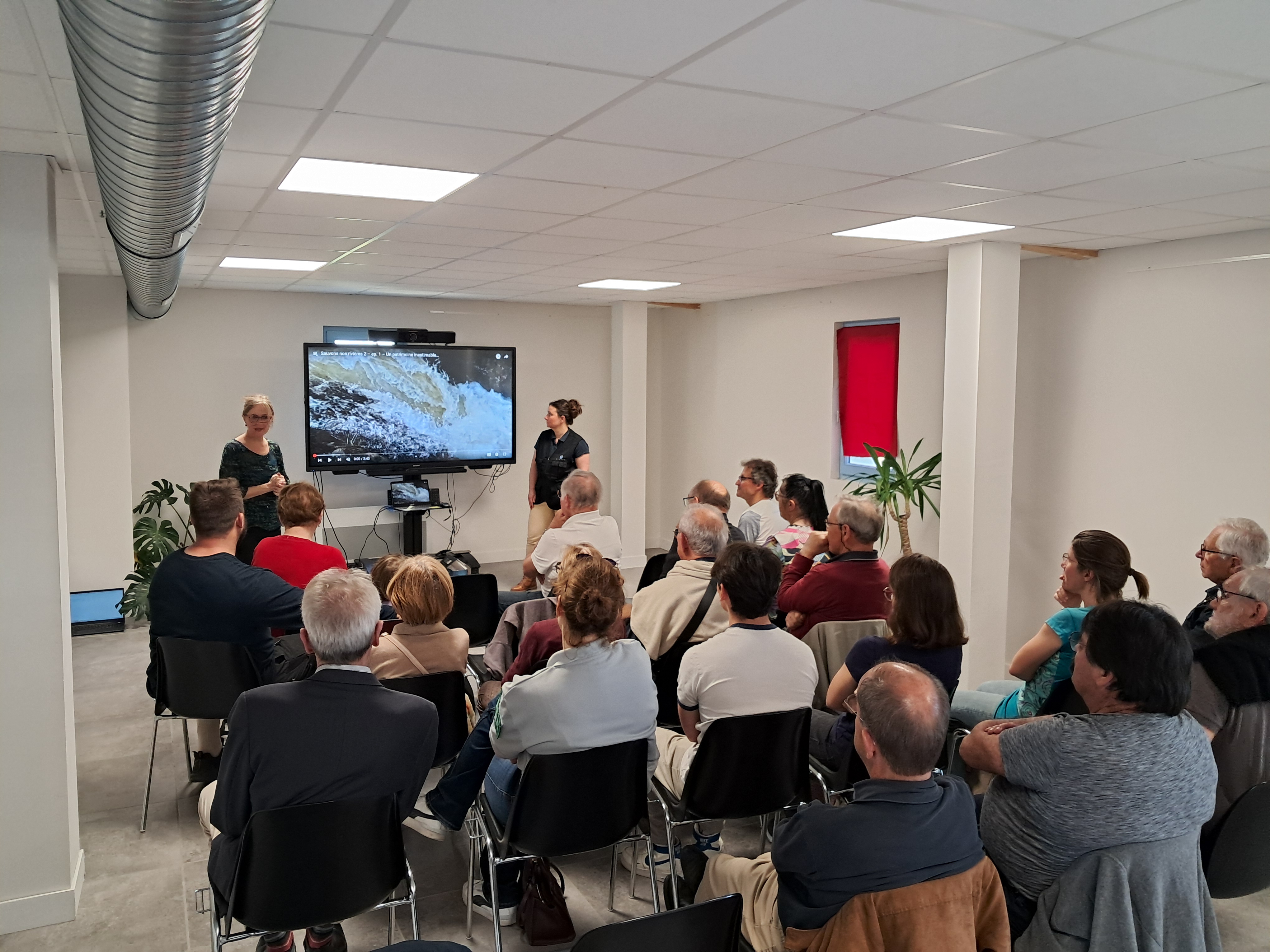 Conférence à la découverte des papillons