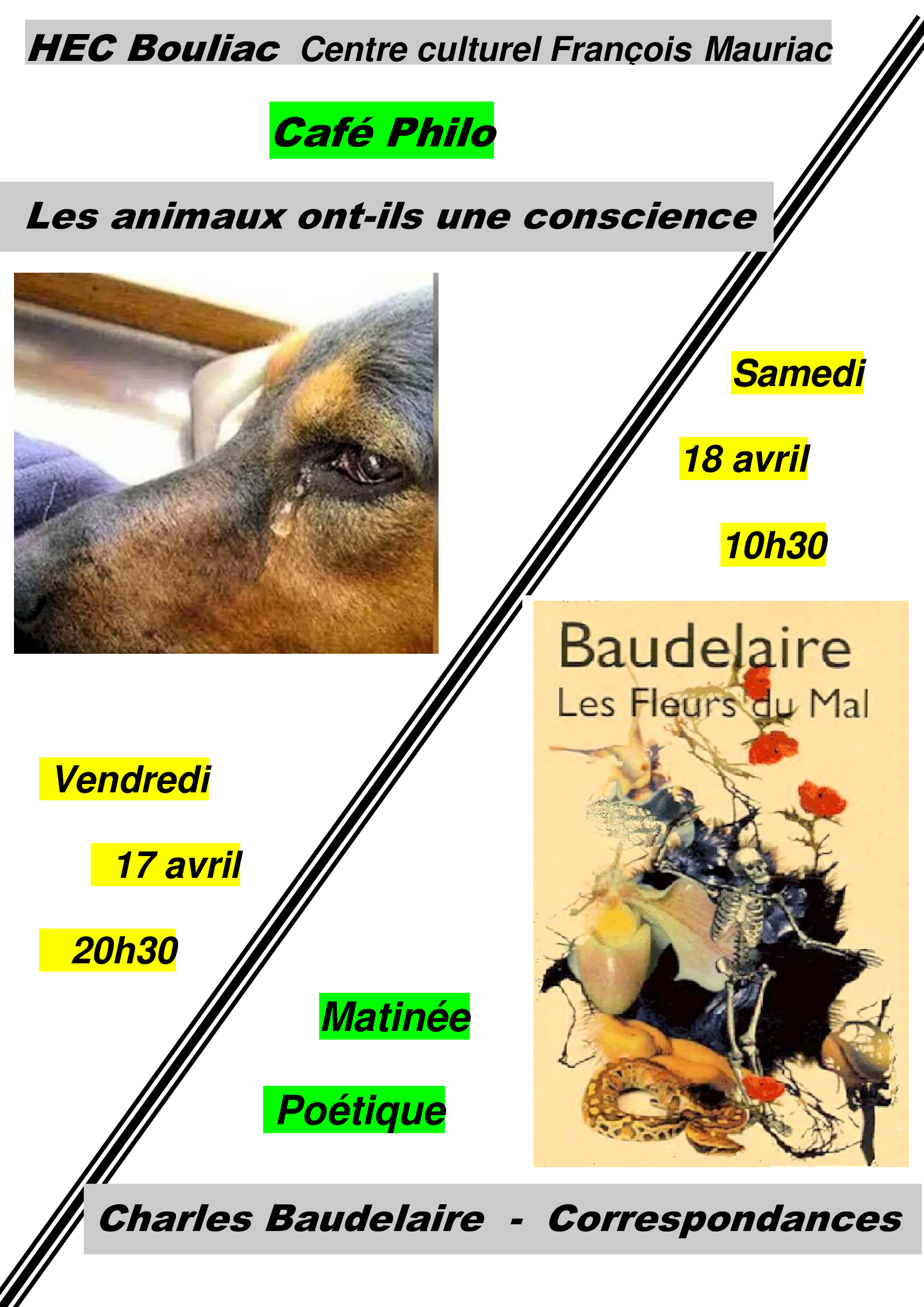 Ptogramme HEC Avril 2026