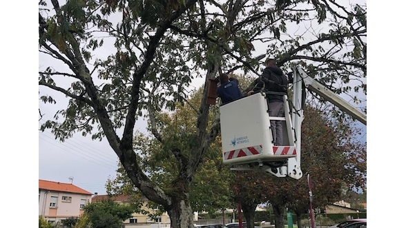 Des nichoirs à chauves-souris pour favoriser la biodiversité