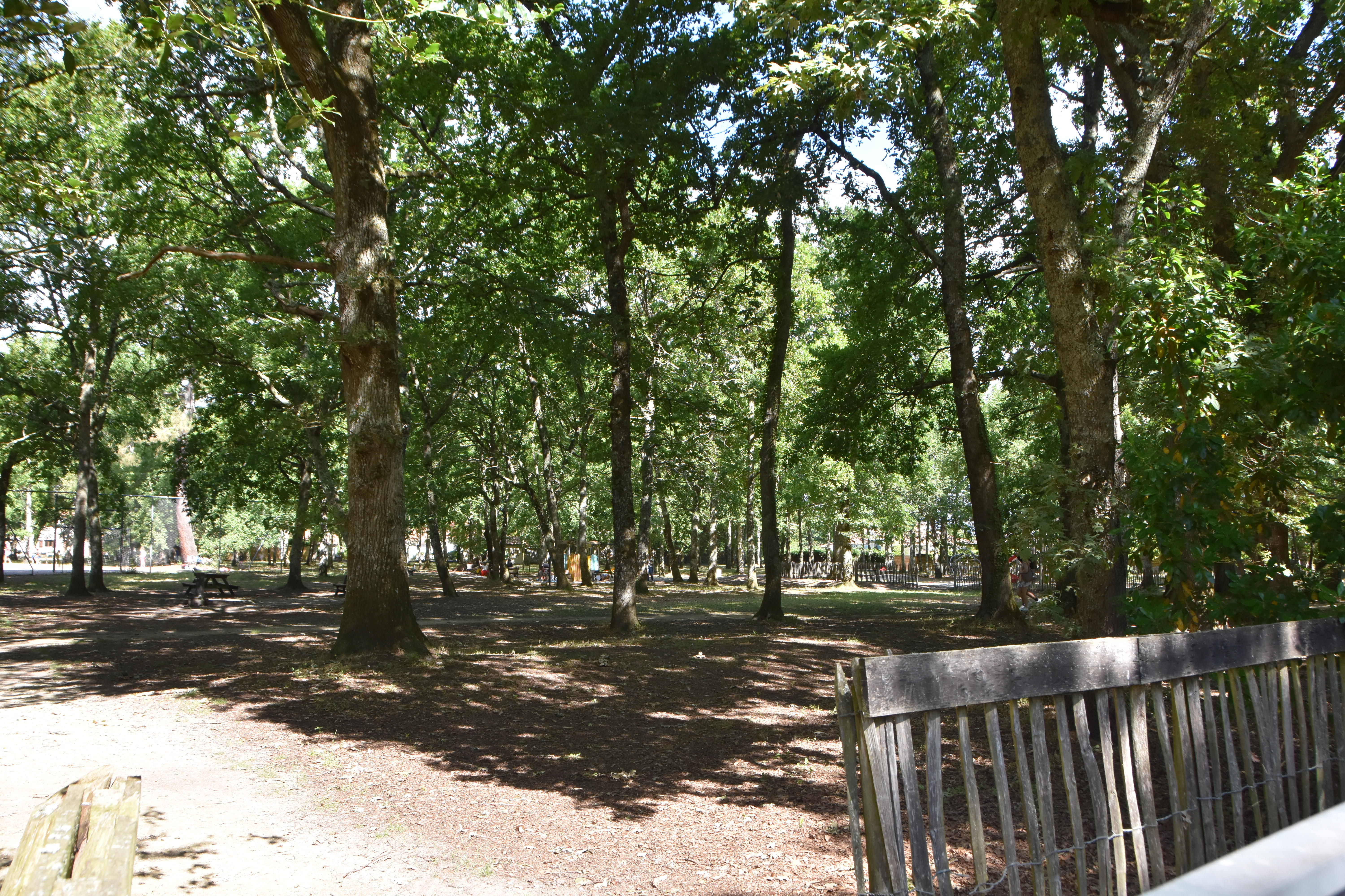 Parc Ribot