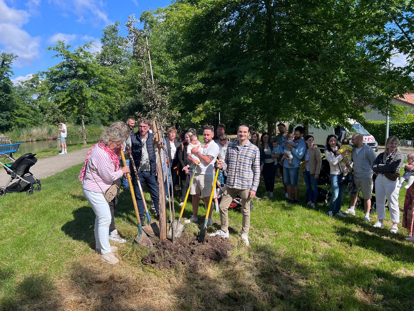 UNE NAISSANCE, UN ARBRE