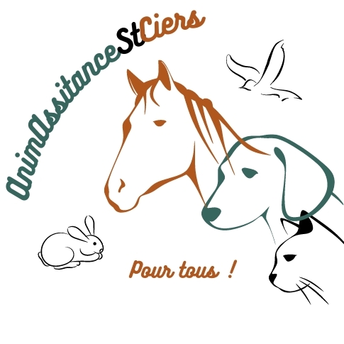 AnimAssitance StCiers