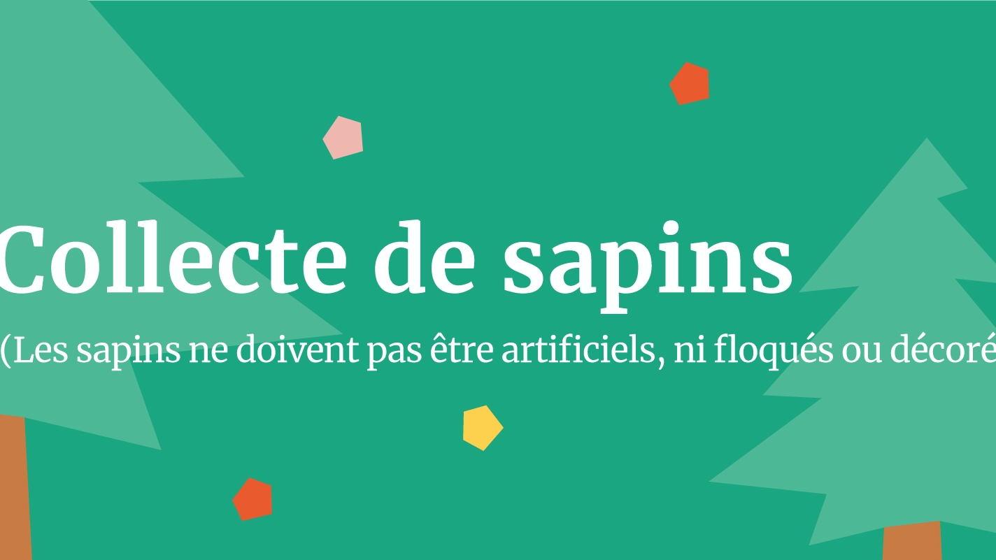 Ne jetez plus vos sapins, ils se recyclent !