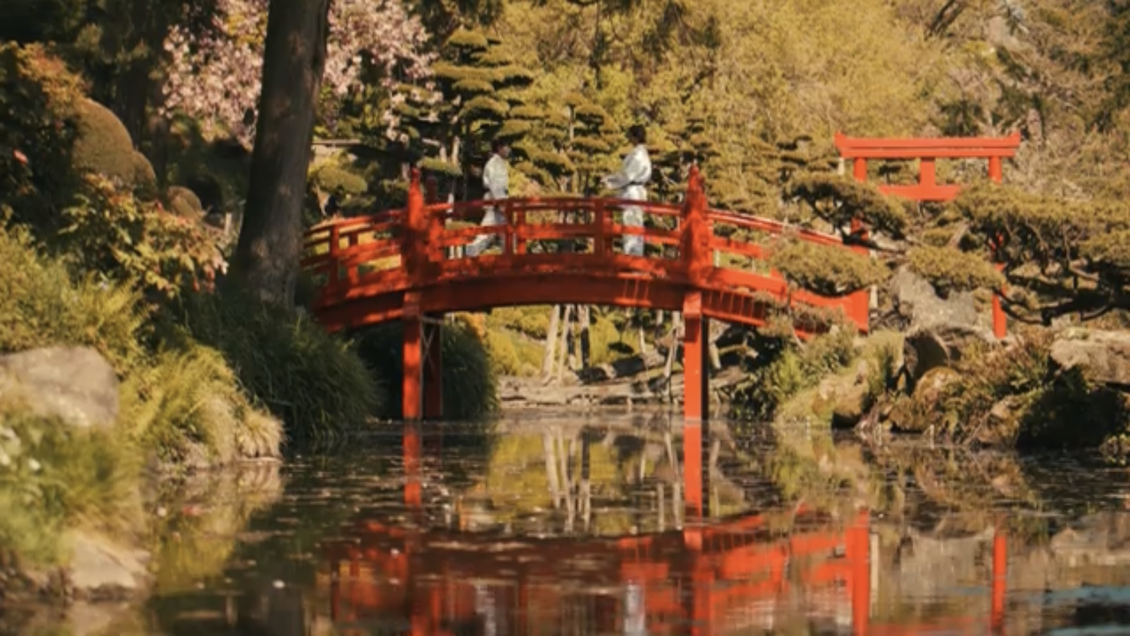 Le Judo école de la vie - magnifique Vidéo 5 mins