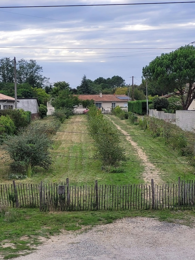 Animation bombe à graines et paillage