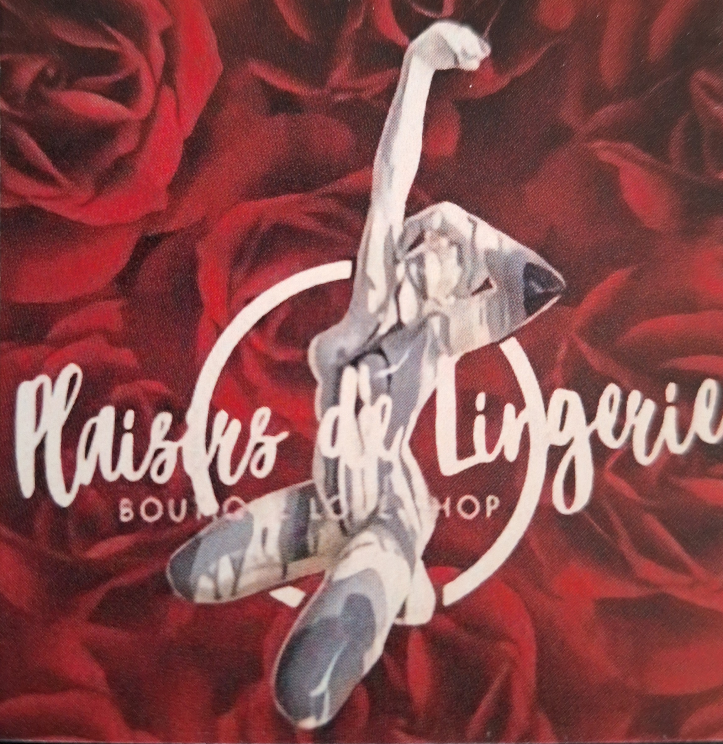 Plaisirs de Lingerie 