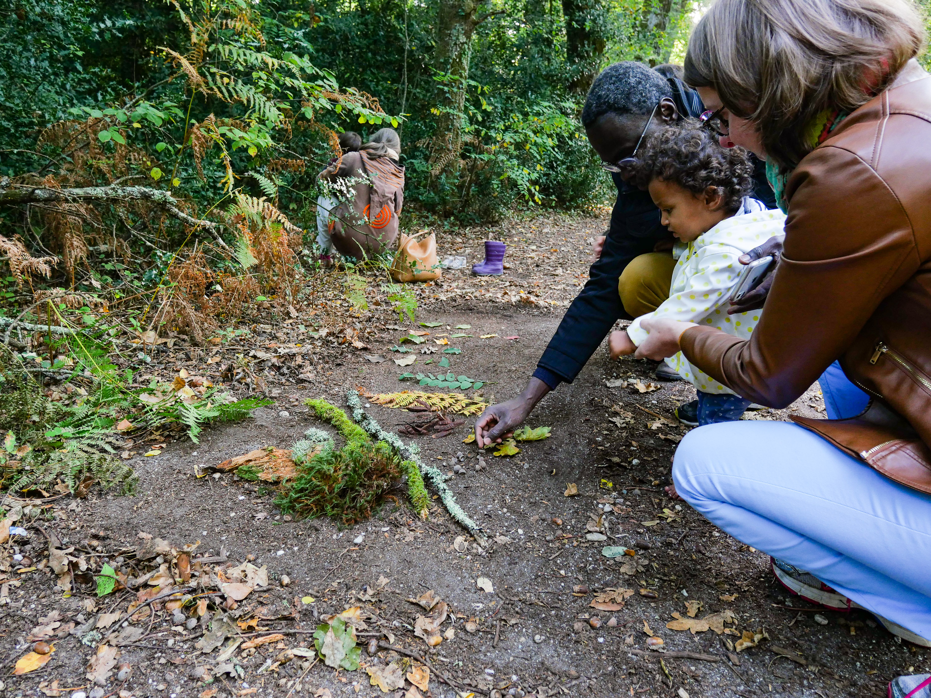 Forêt des tout-petits
