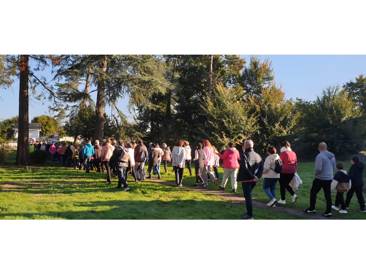 Vague rose Illacaise