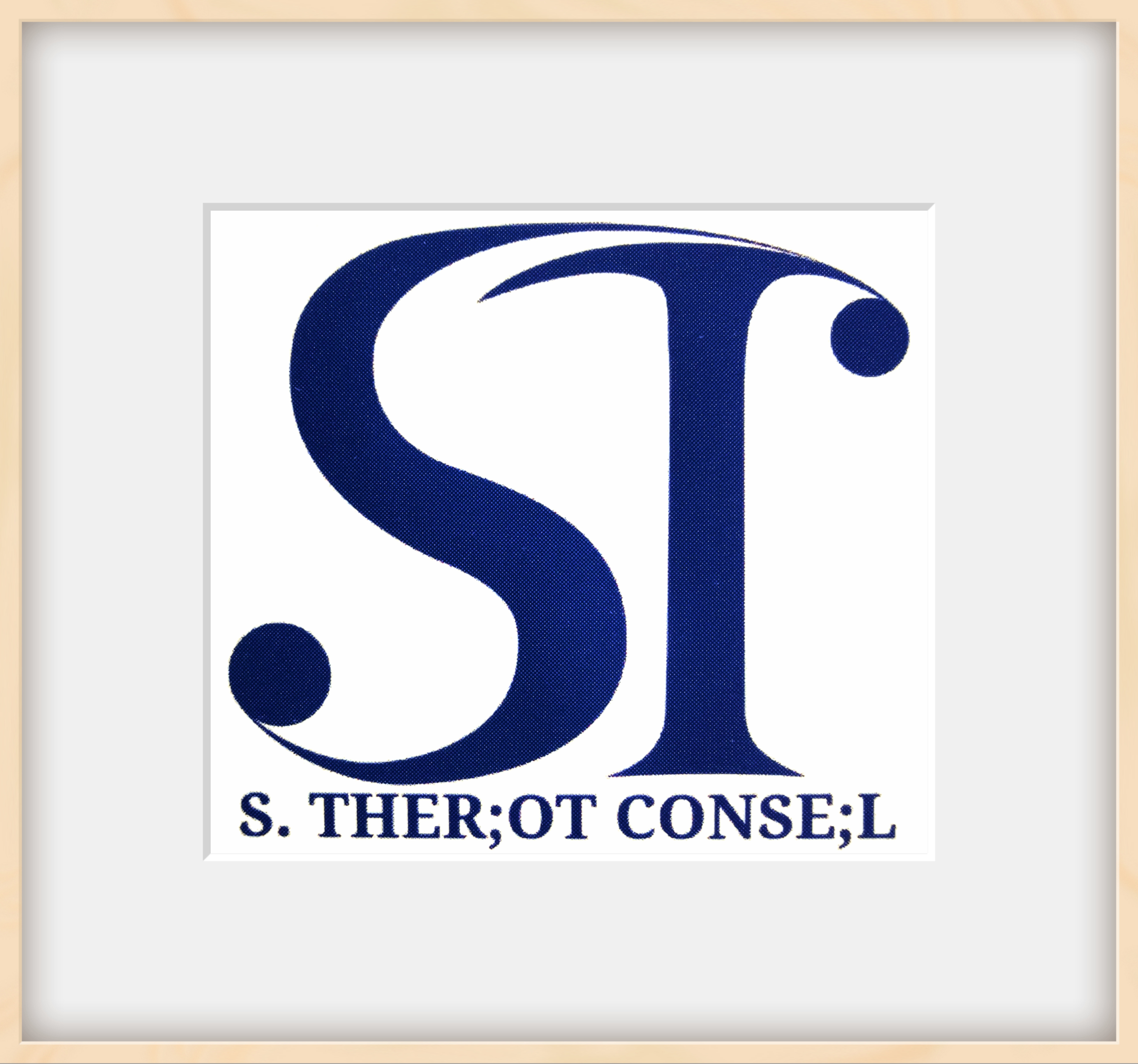 S. THÉRIOT CONSEIL 