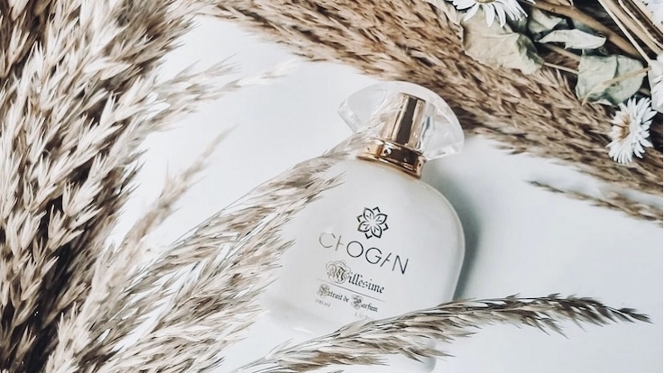 Au pays des merveilles 