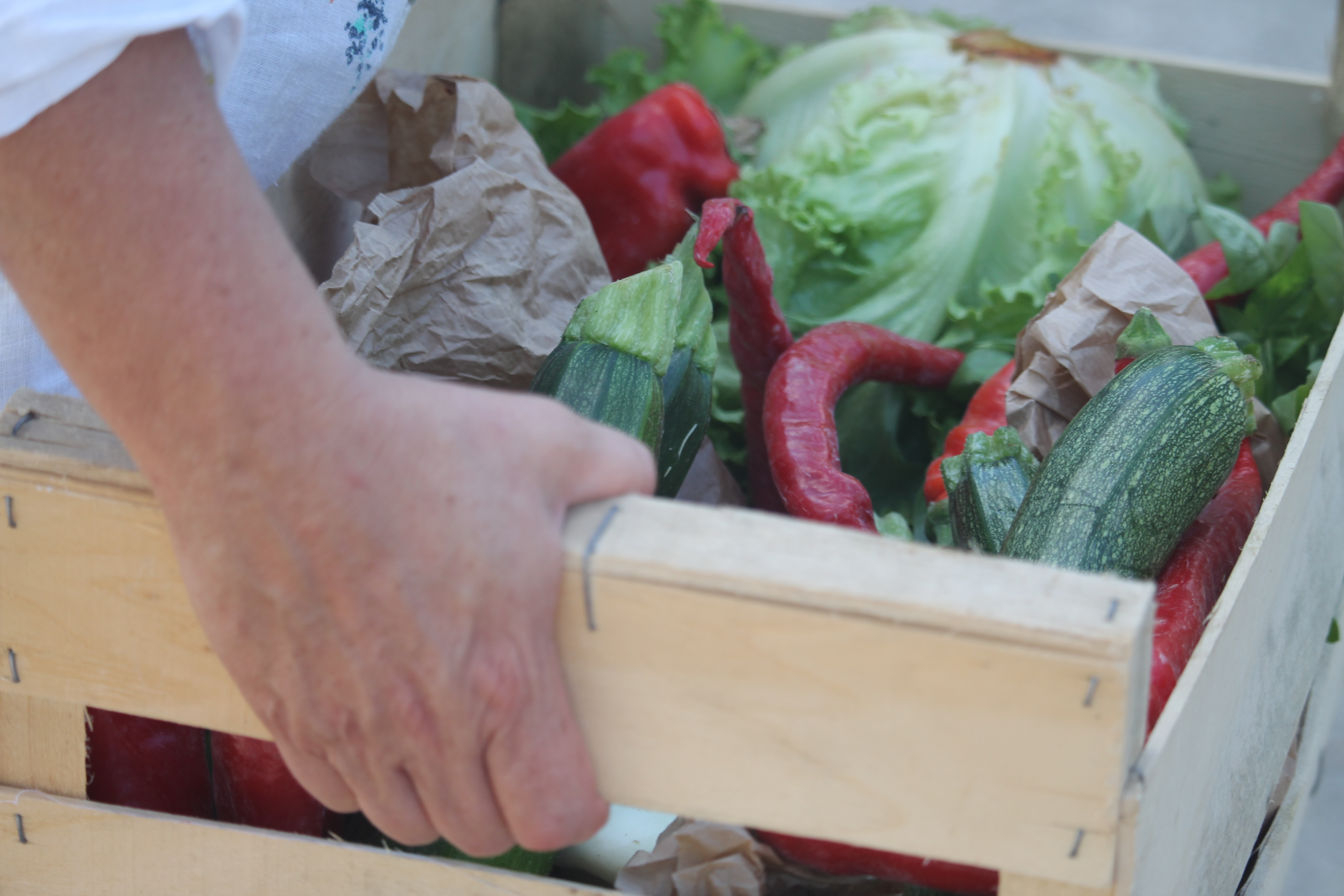 AMAP les Paniers des portes du bassin