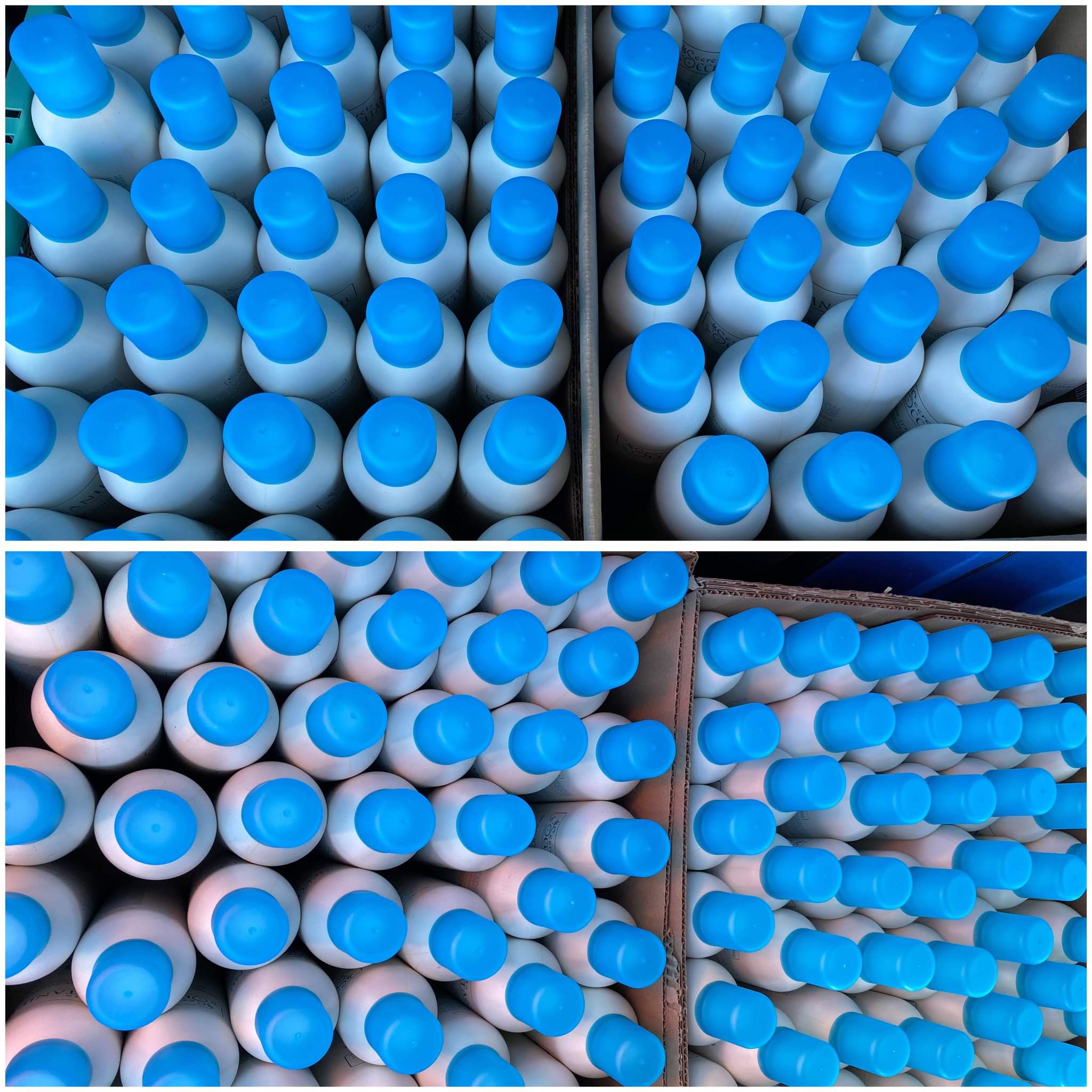 Canicule, visite des aînés de la commune 