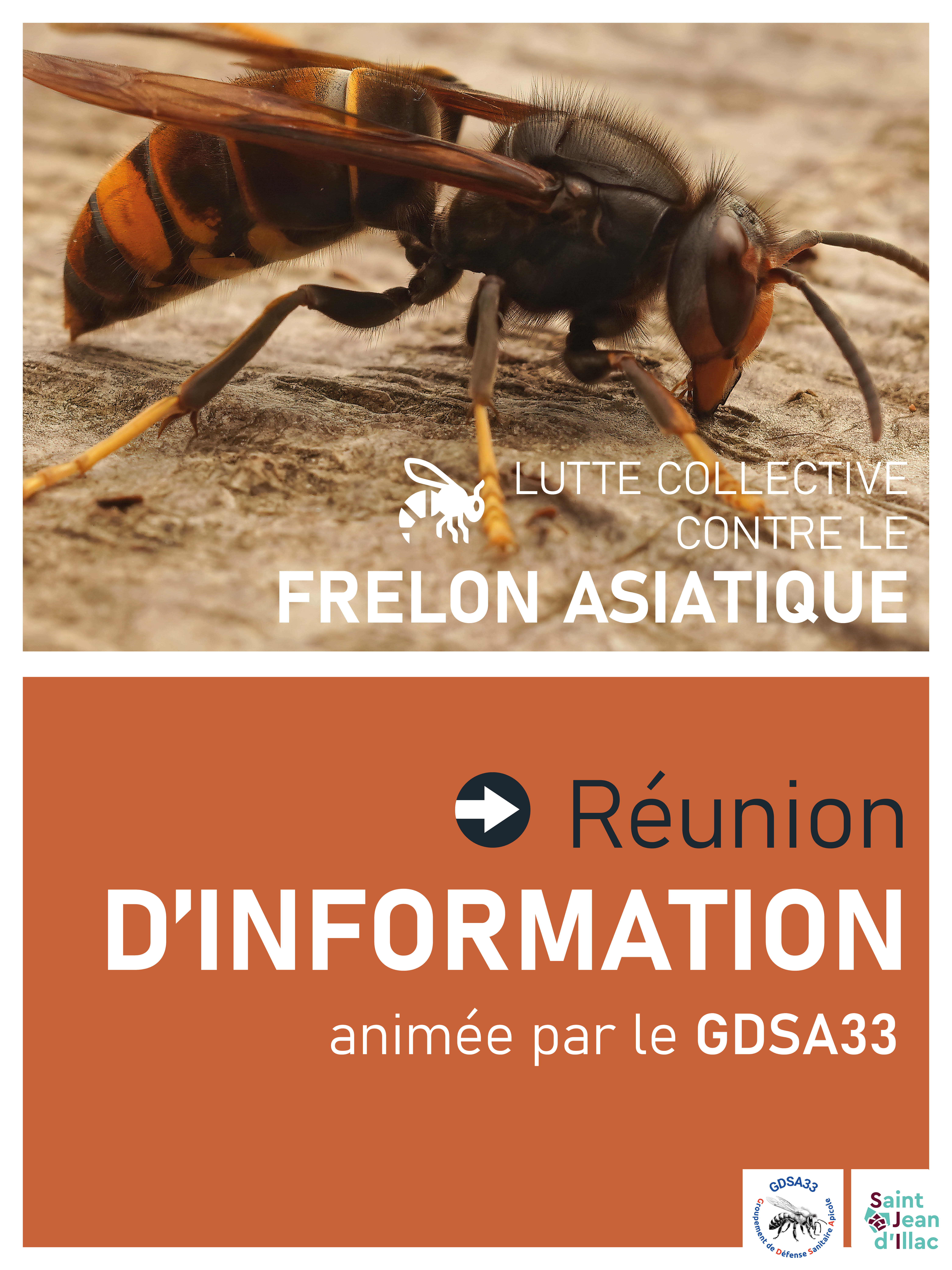 Réunion d'information - Frelons Asiatiques