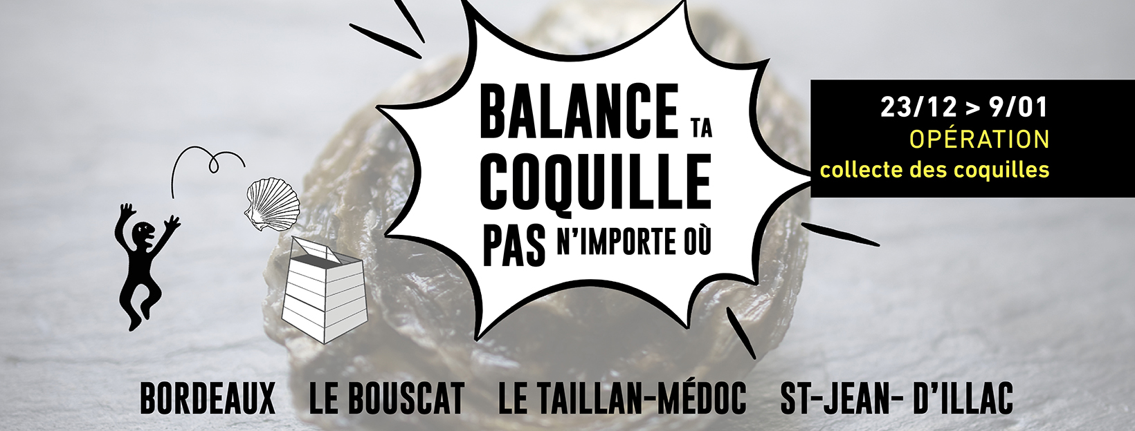 Opération Collecte de coquilles vides pour Noël