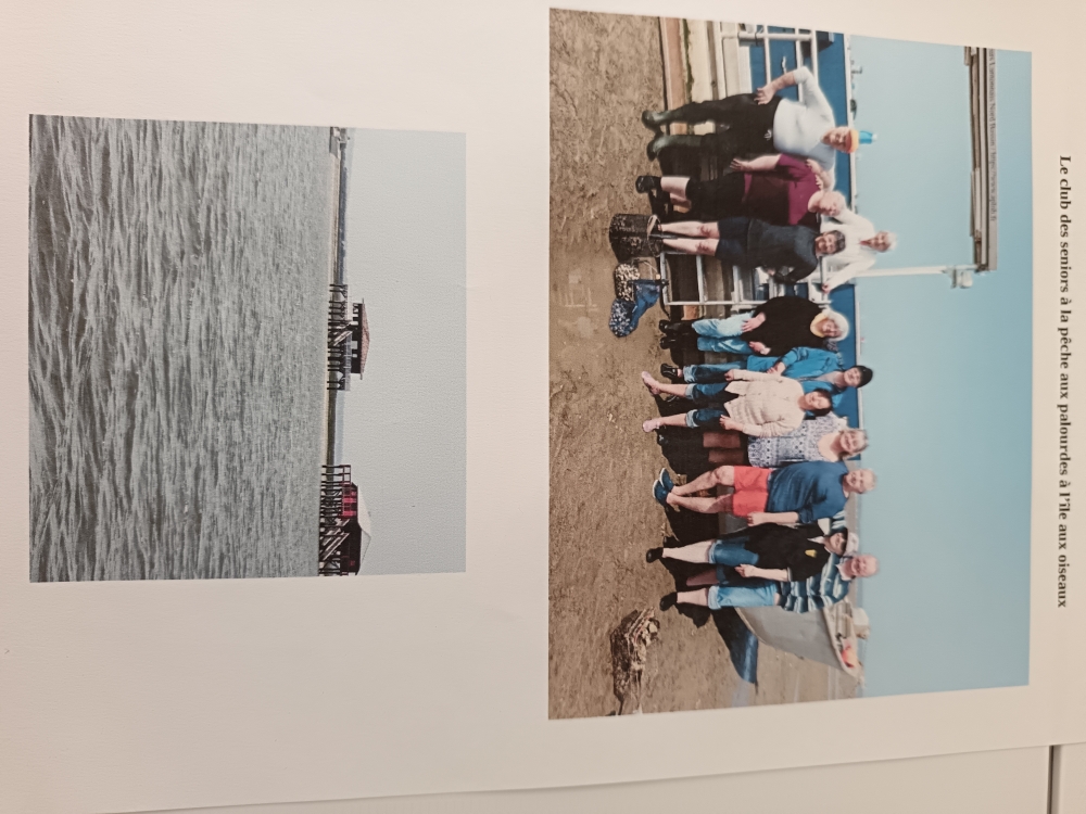 le club des seniors à la pêche aux palourdes