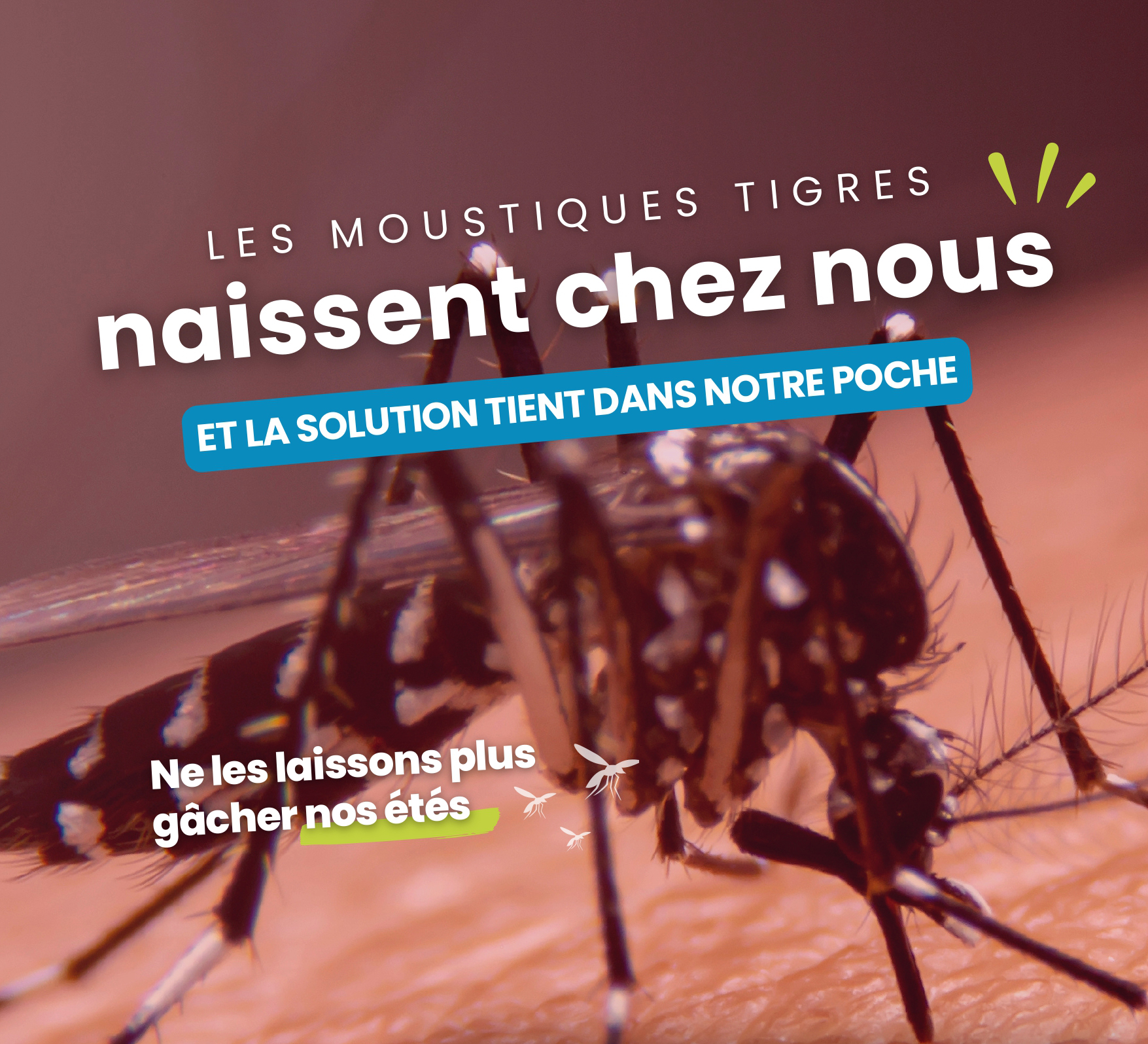 🦟 Moustique tigre : cette année on change la donne !