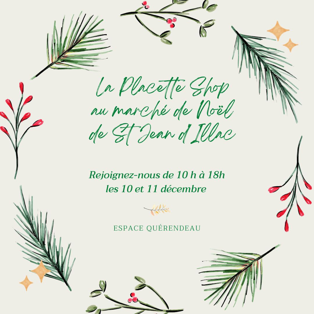 LA PLACETTE SE DEPLACE AU MARCHE DE NOEL A ST JEAN D'ILLAC