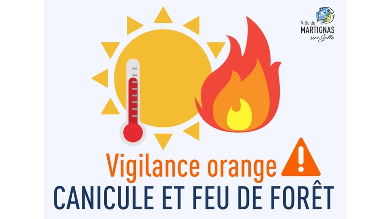 Canicule et feu de forêt : niveau de vigilance orange