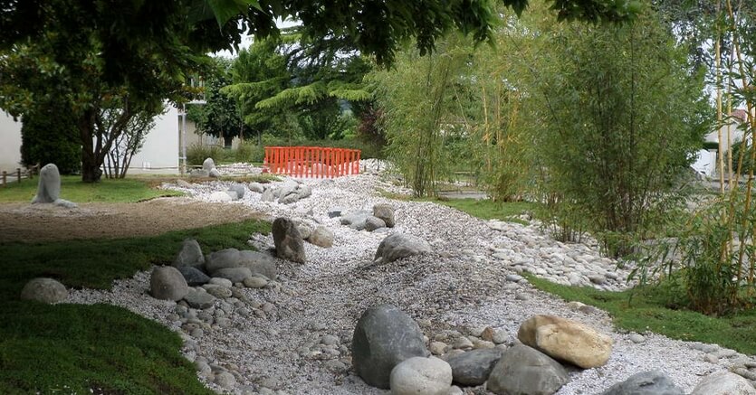 Jardin japonais