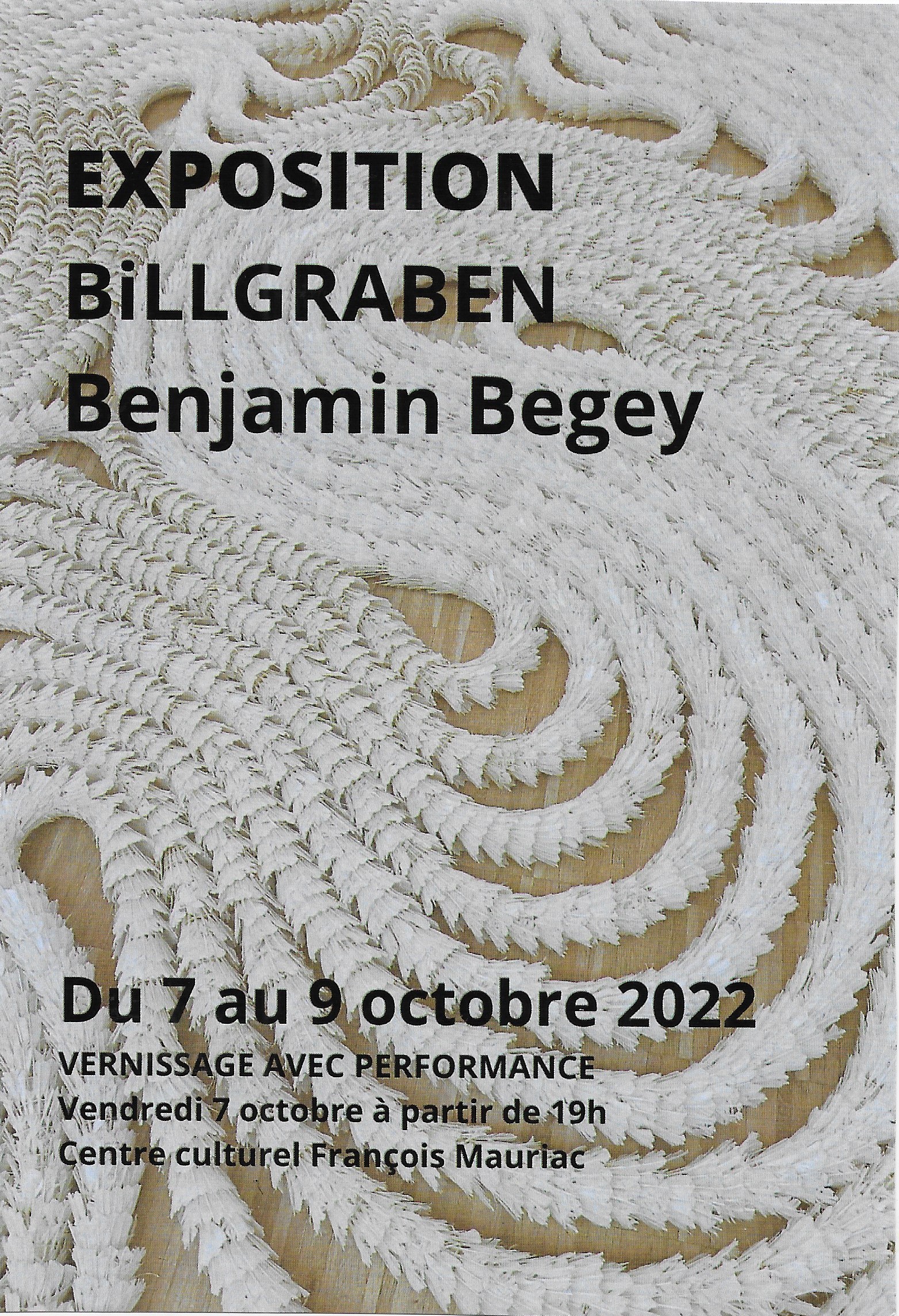 EXPOSITION BENJAMIN BEGEY  " BiLLGRABEN" 