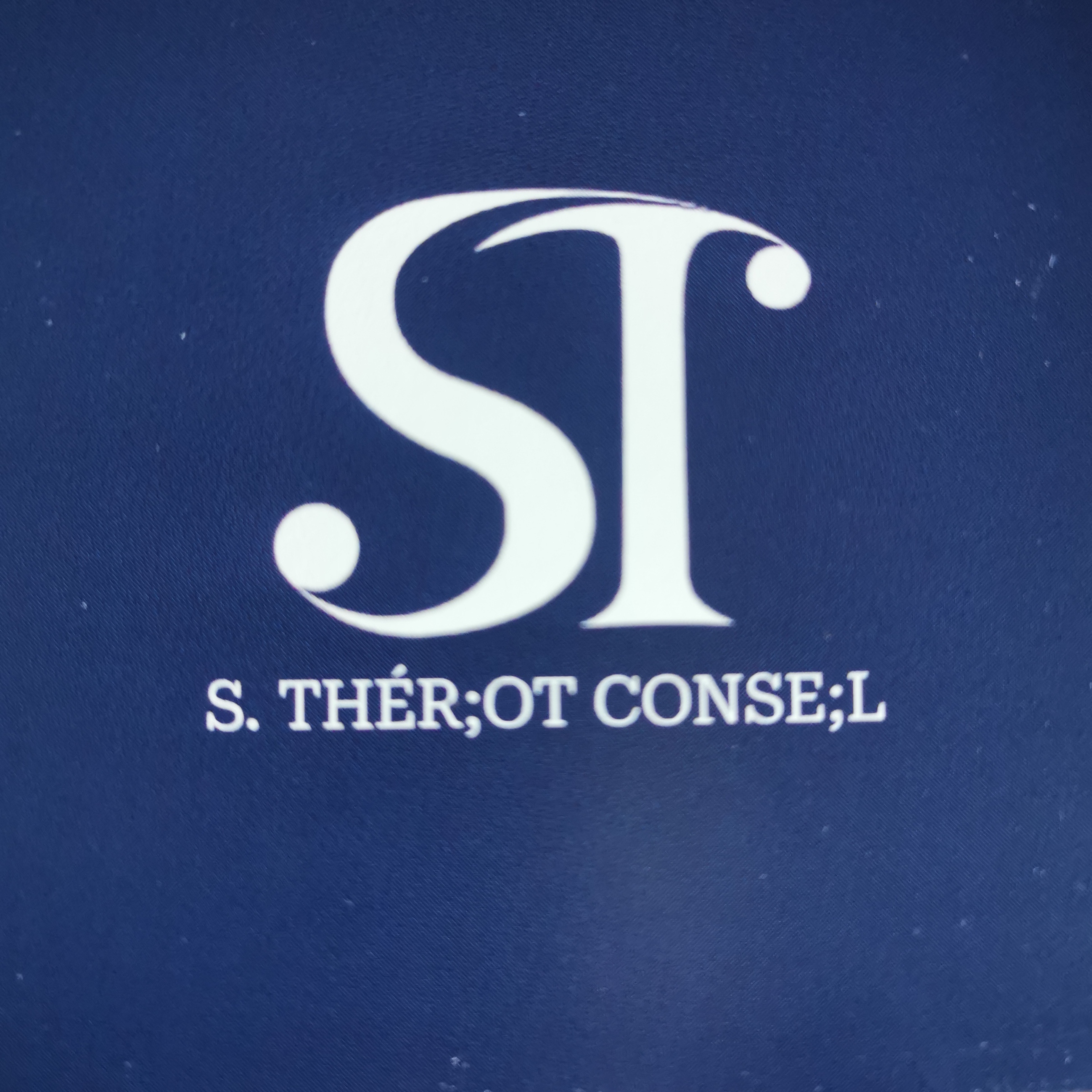 S. THÉRIOT CONSEIL 