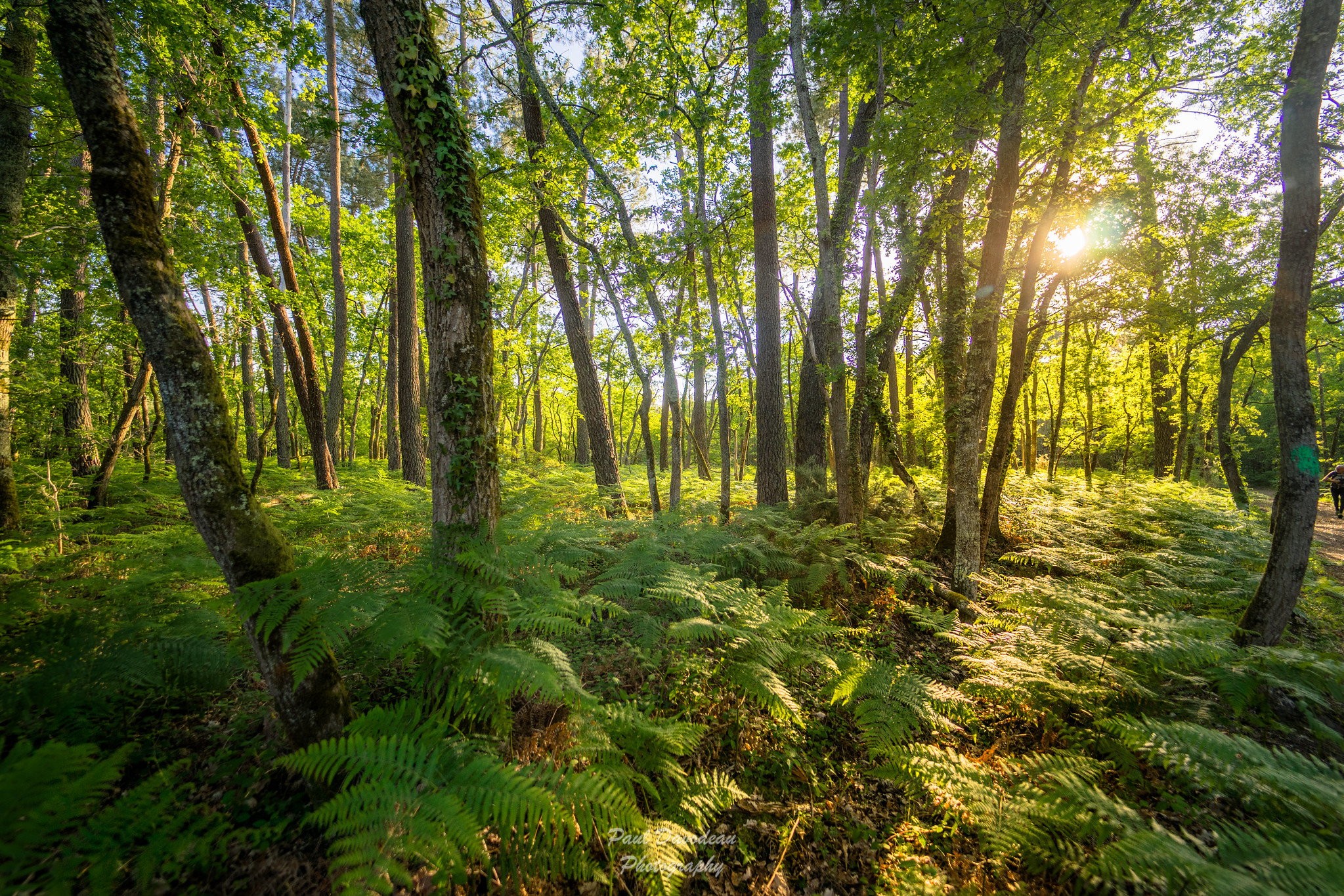 Inauguration des zones de ressourcement