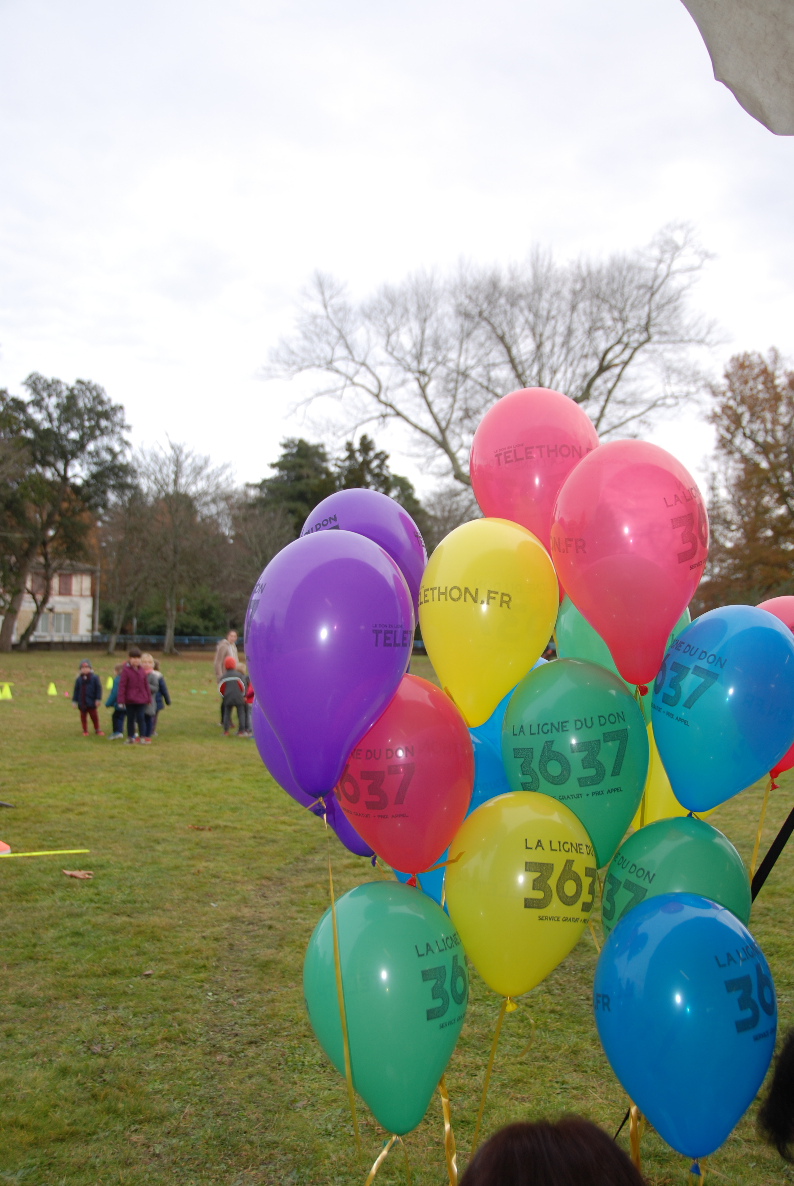 MARCHEPRIME ACTION HANDICAP