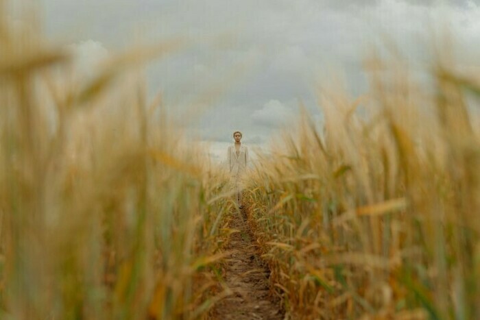Eté Métropolitain - 𝗜𝗻𝘁𝗶-𝗺𝗲 • Gang of Food