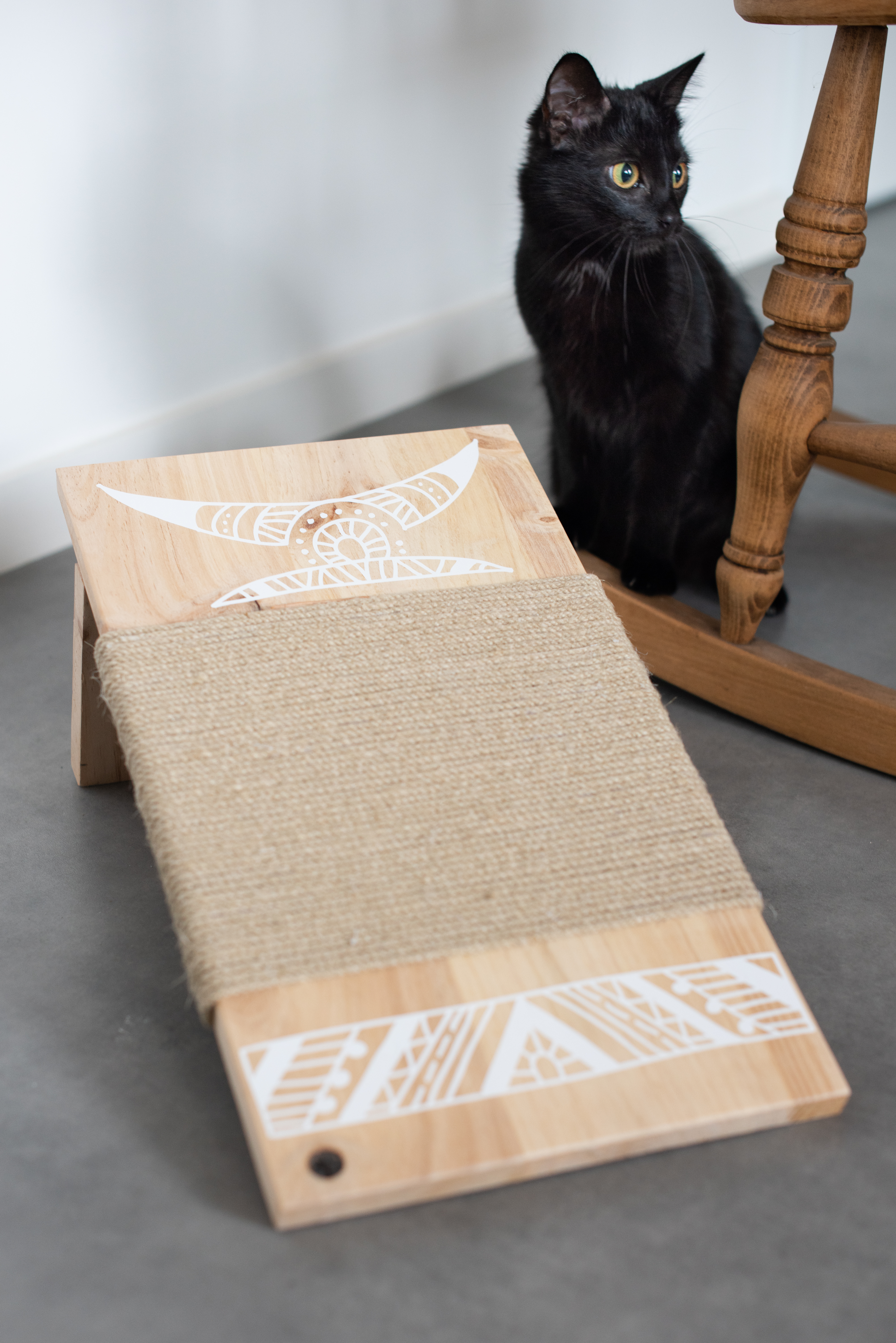 Atelier grattoir pour chat : 6 février