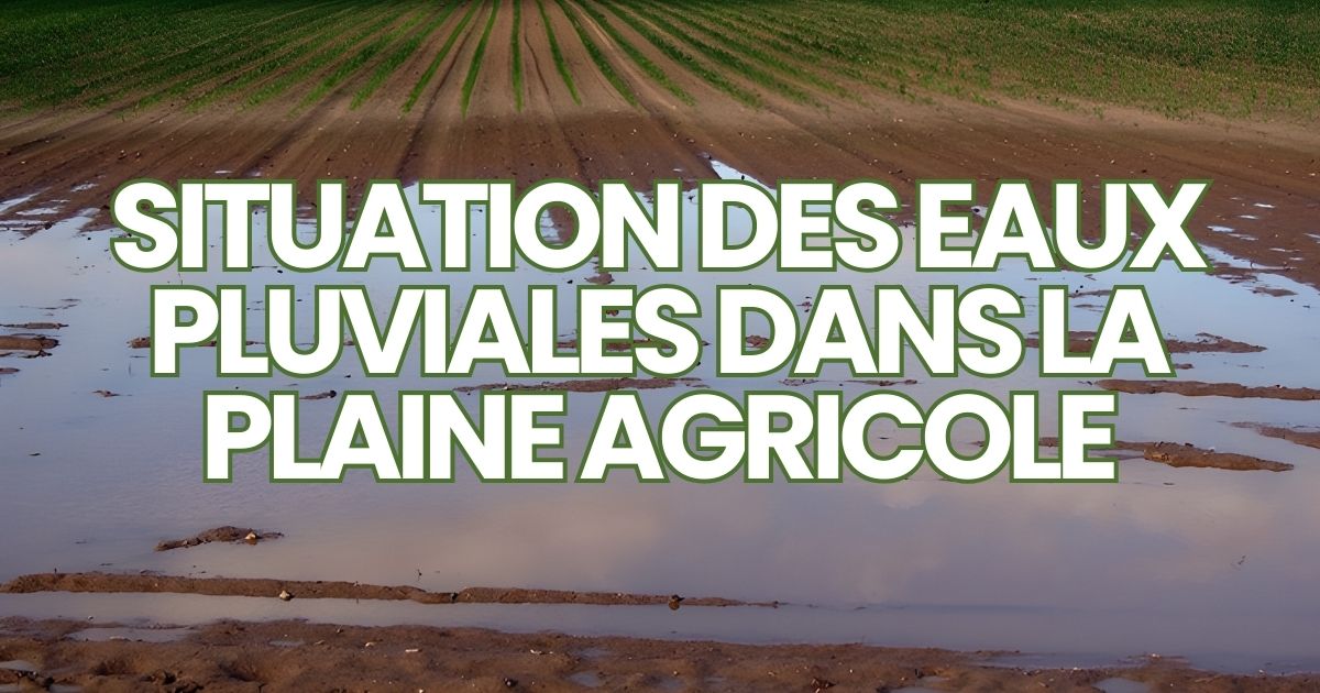 Situation des eaux pluviales dans la plaine agricole