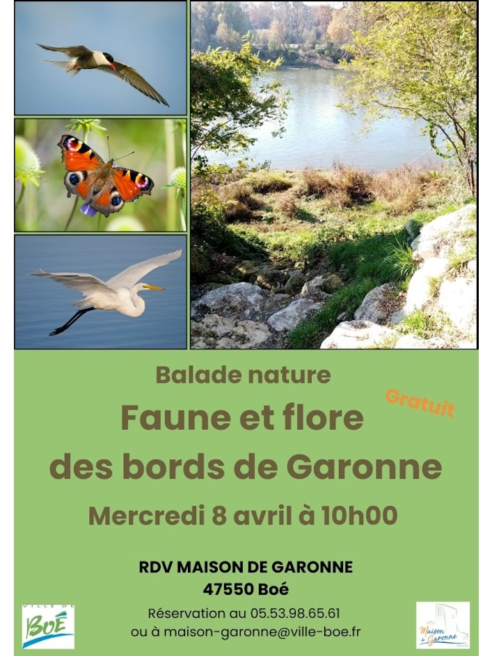 Balade nature « faune et flore des bords de Garonne »
