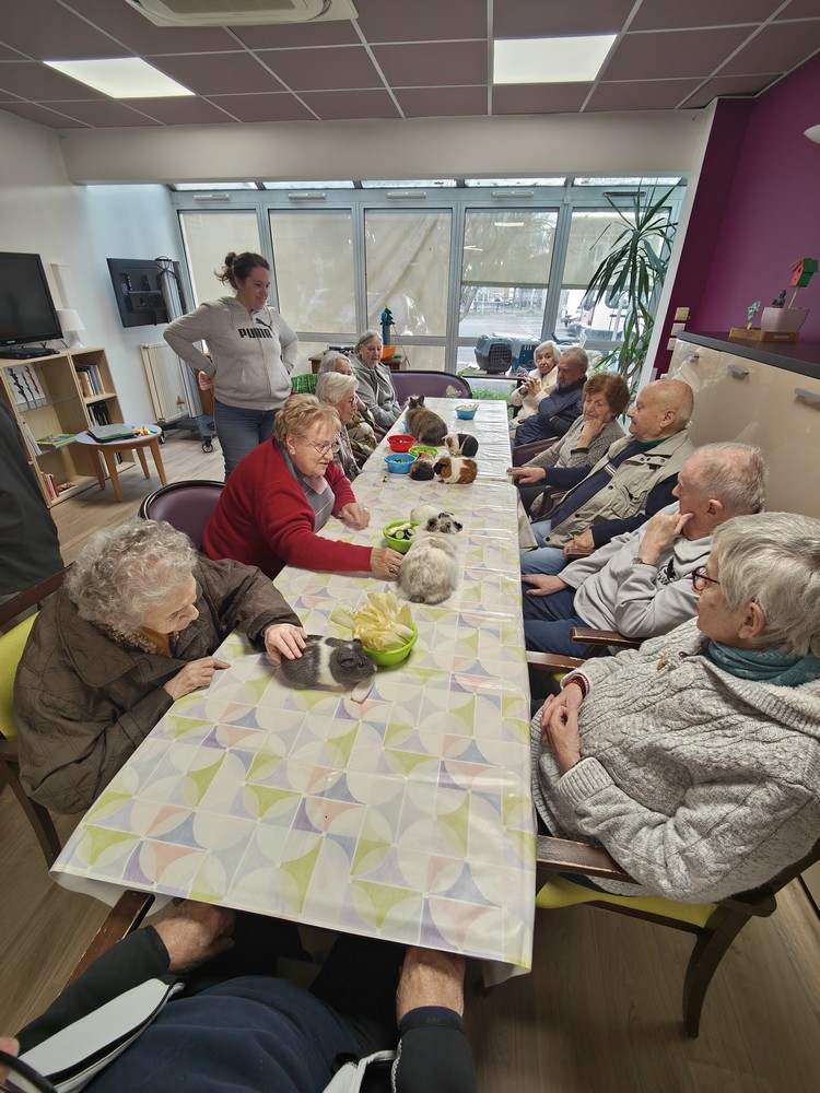 Médiation animale à la MARPA