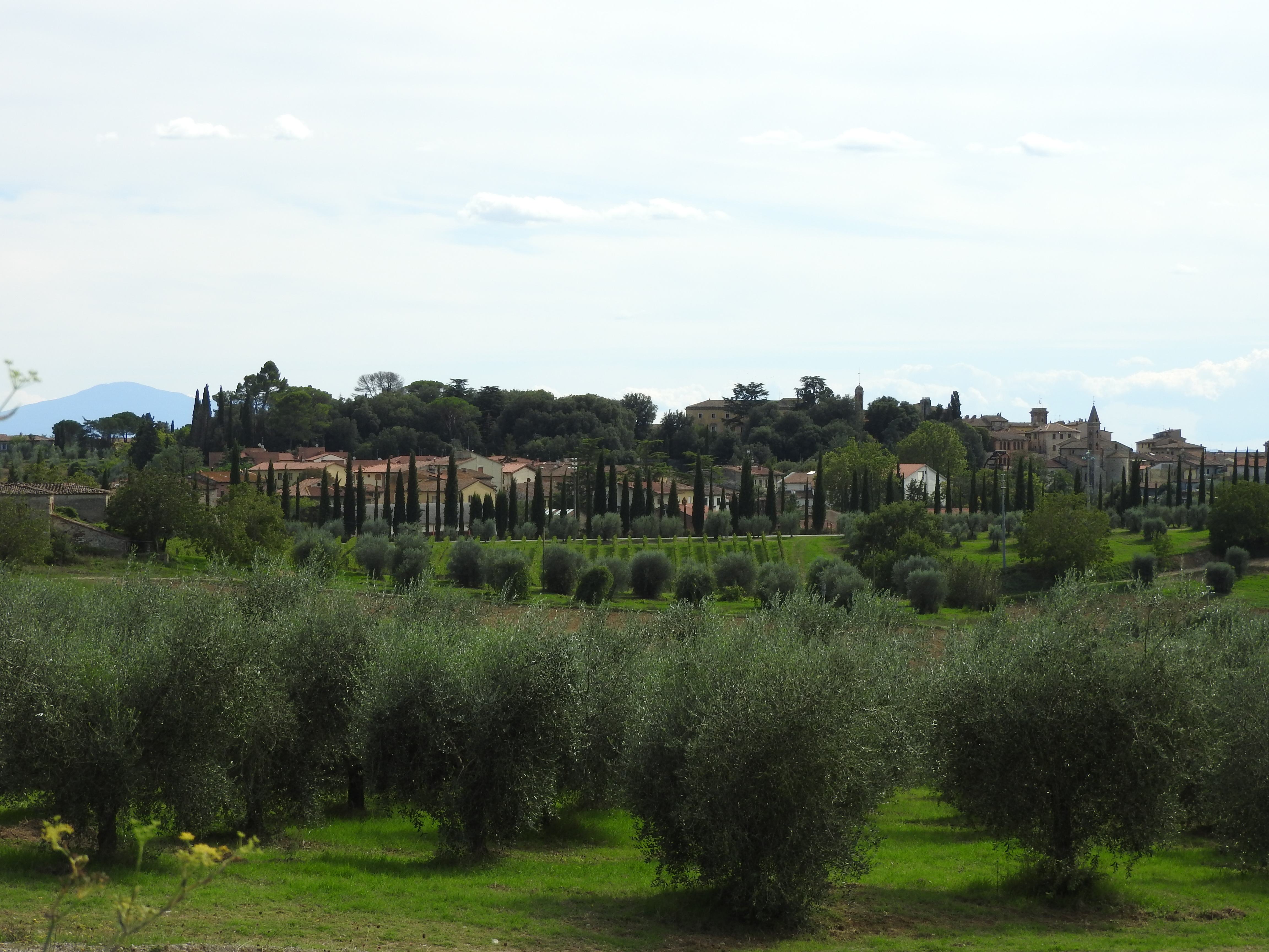 Voyages-Echanges-Partages