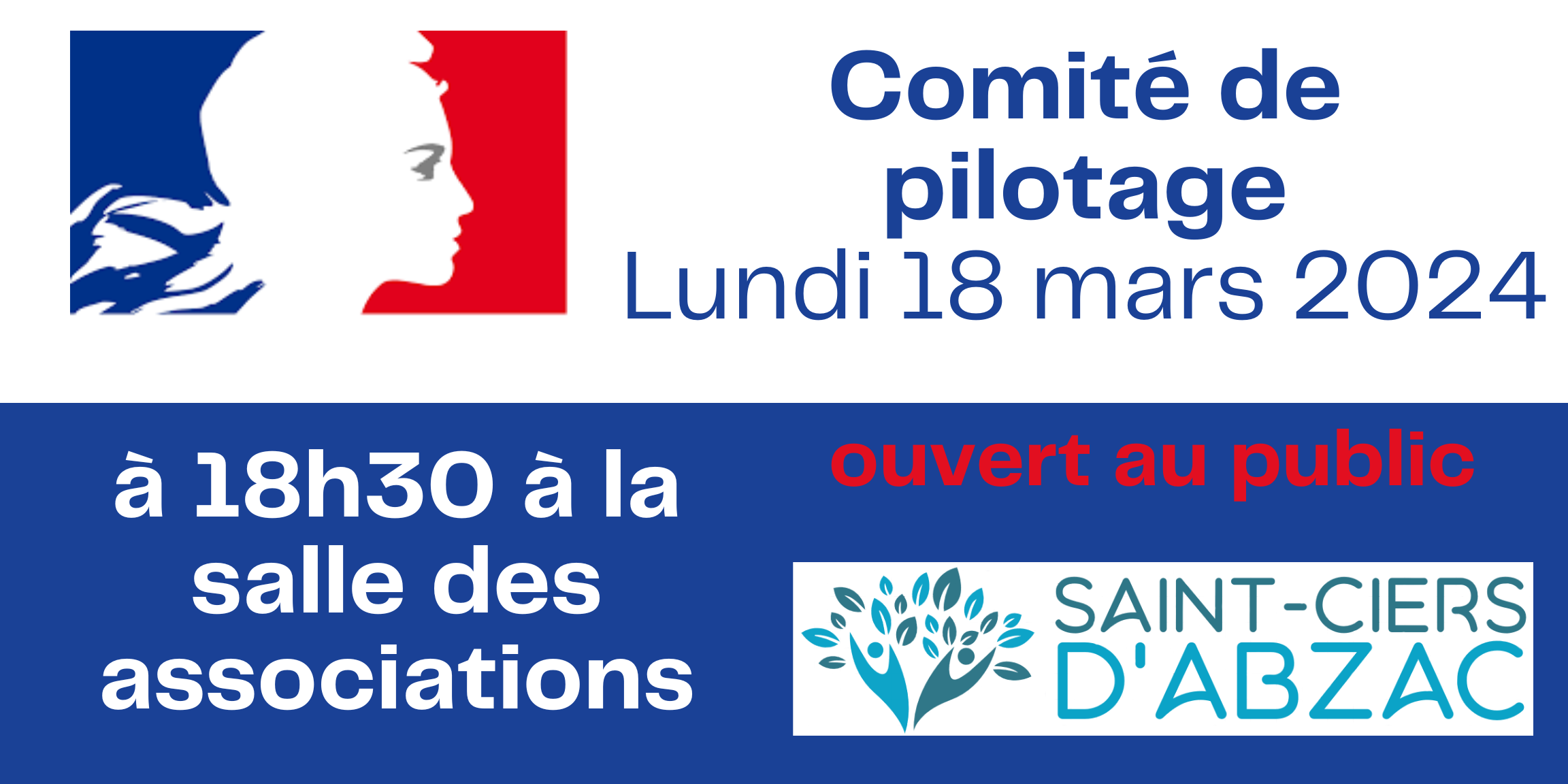 Comité de pilotage