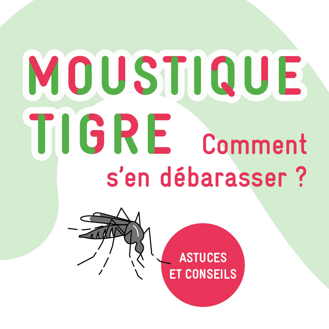 Agir contre le moustique tigre