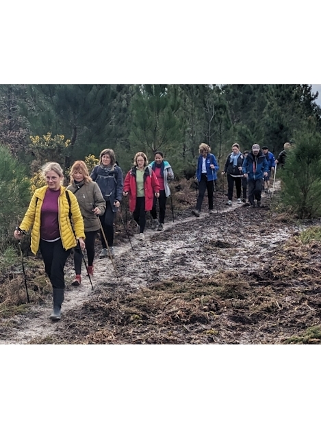 Découvrez la marche Nordique