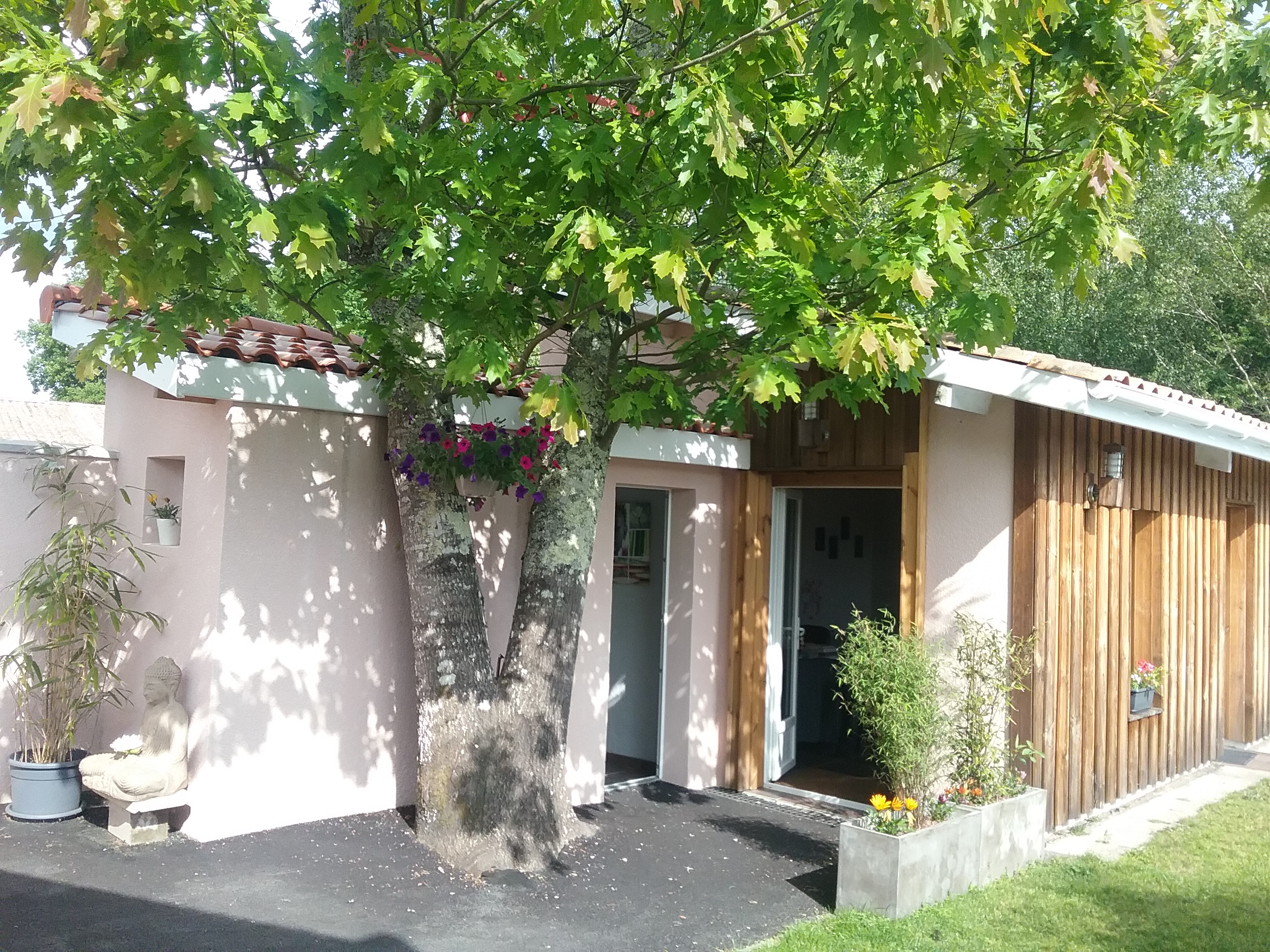 Béatrice Synergielibert