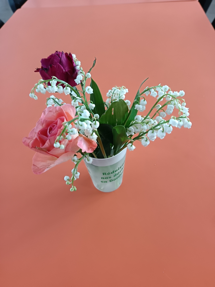 le club des séniors fête le premier mai