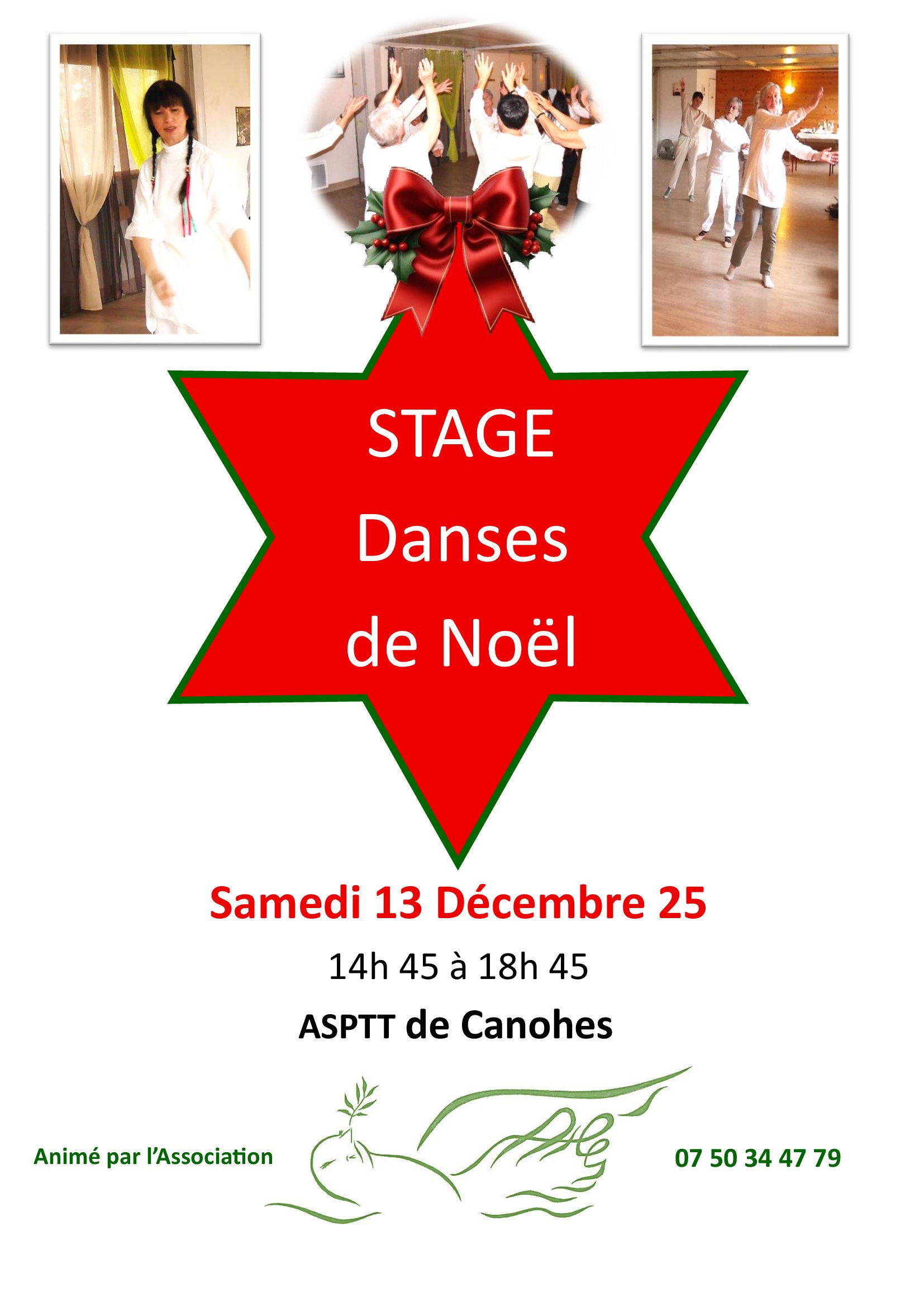 Animation Danses de Noël