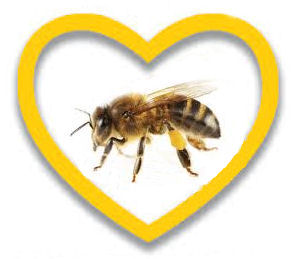 L'Association  de Protection des Abeilles à Bouliac