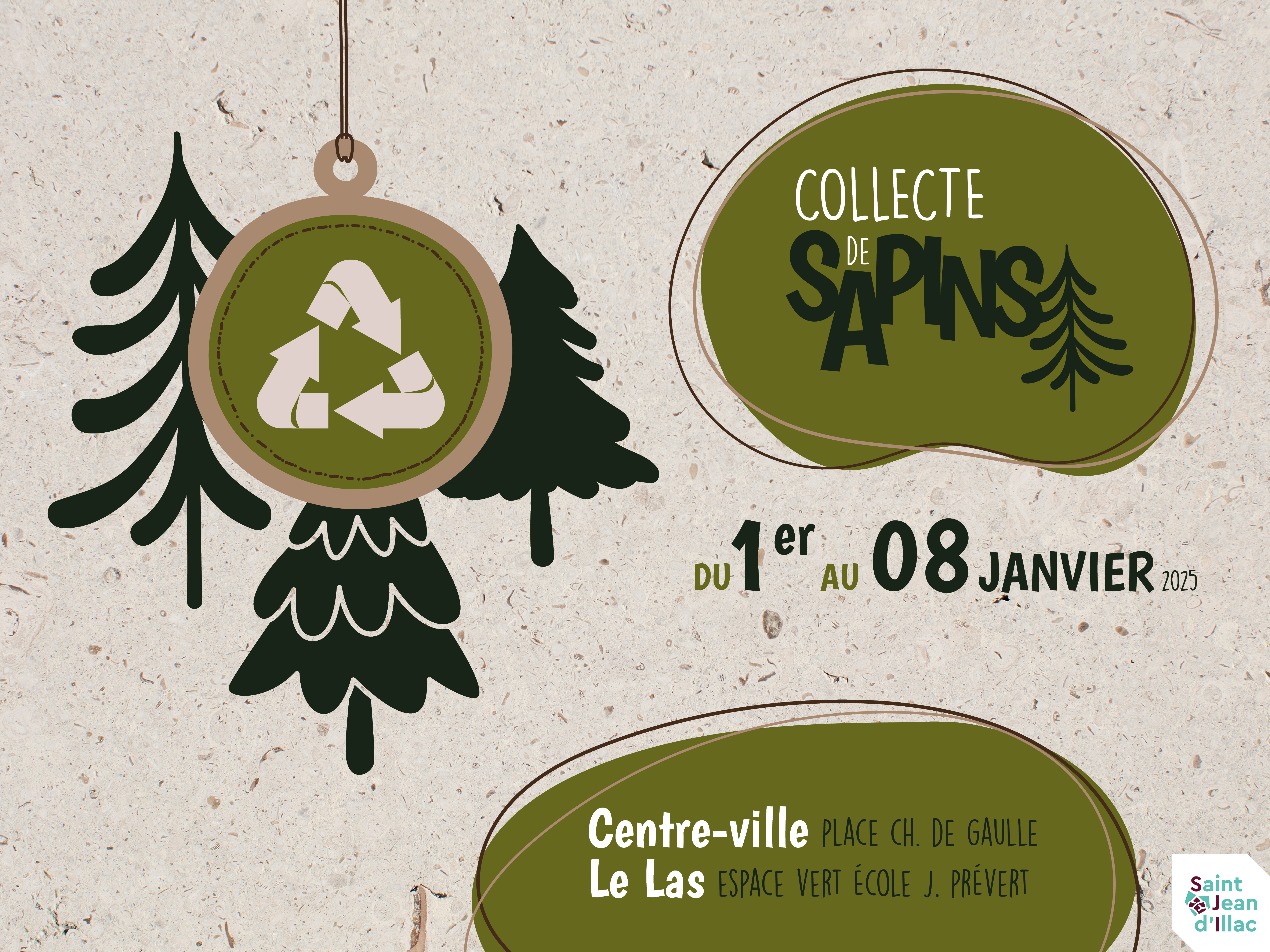 Une seconde vie pour votre sapin