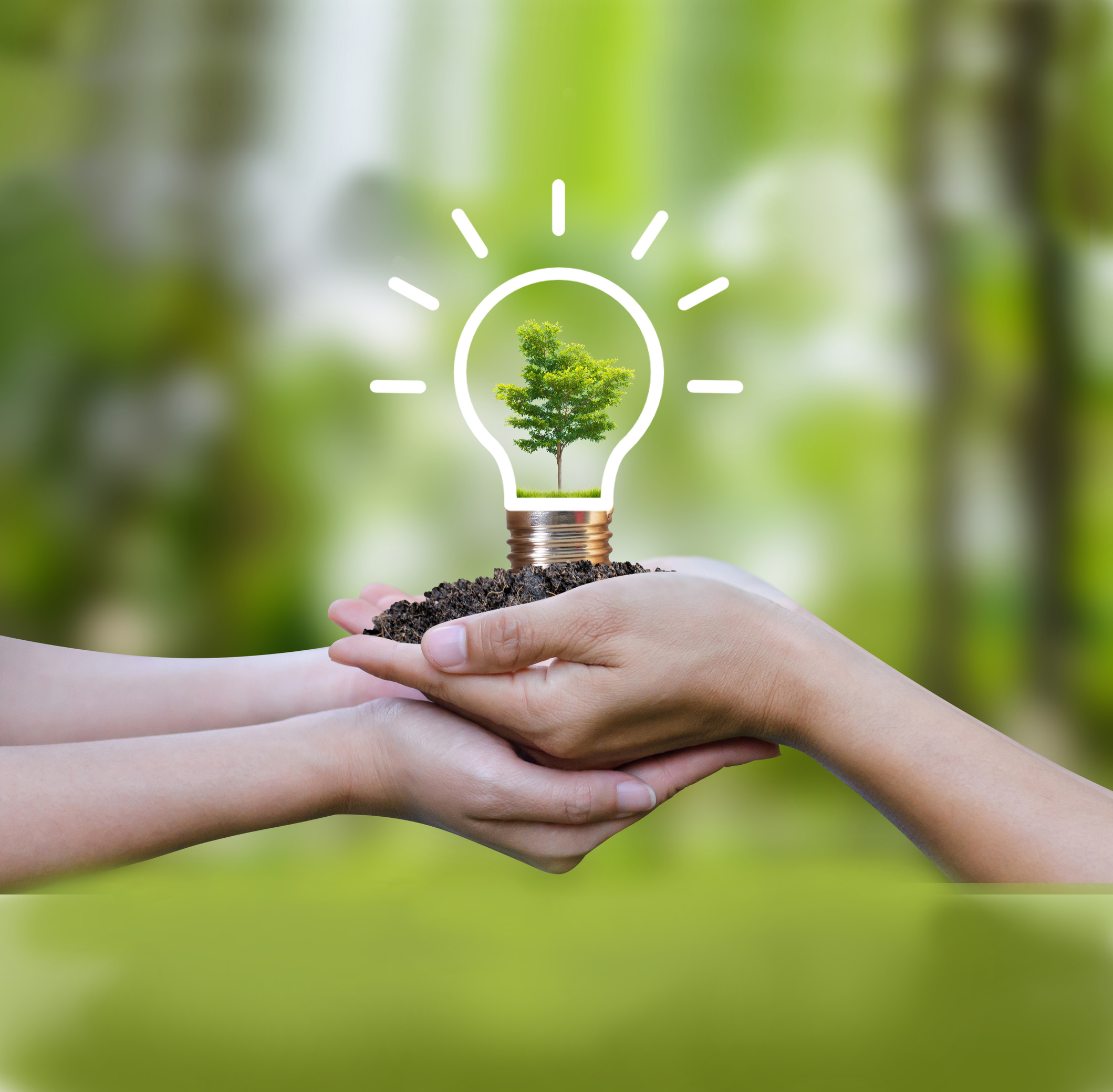 Le marché fête le développement durable et la mobilité !