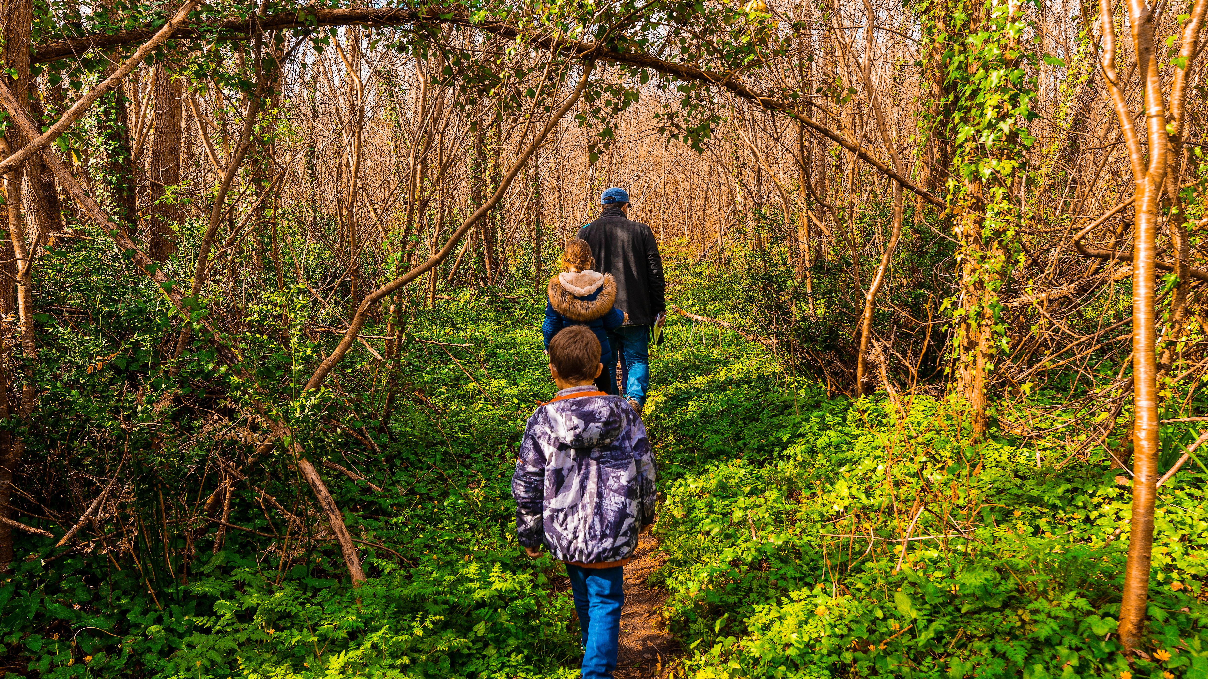 Enquête sur les usages récréatifs de la forêt