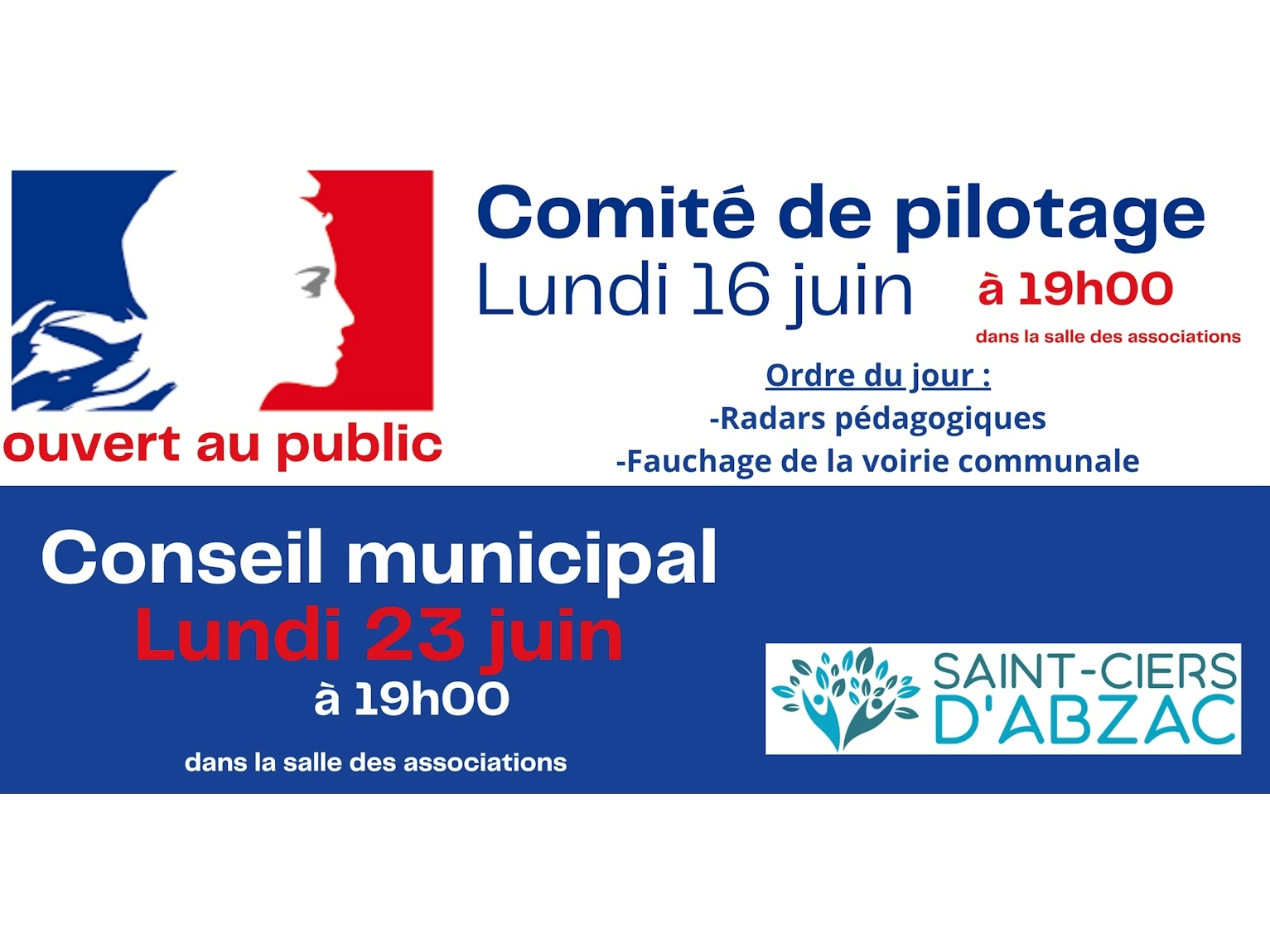 Comité de pilotage 