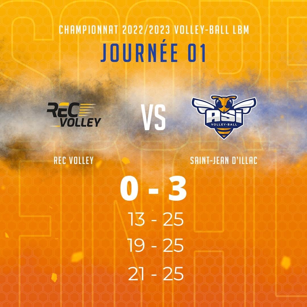 Les Abeilles conquérantes en terre Bretonne !🐝💪🏼💥