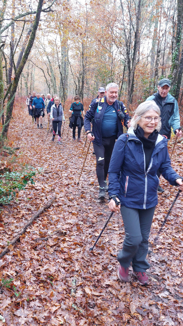 Marche Nordique (Marche découverte)
