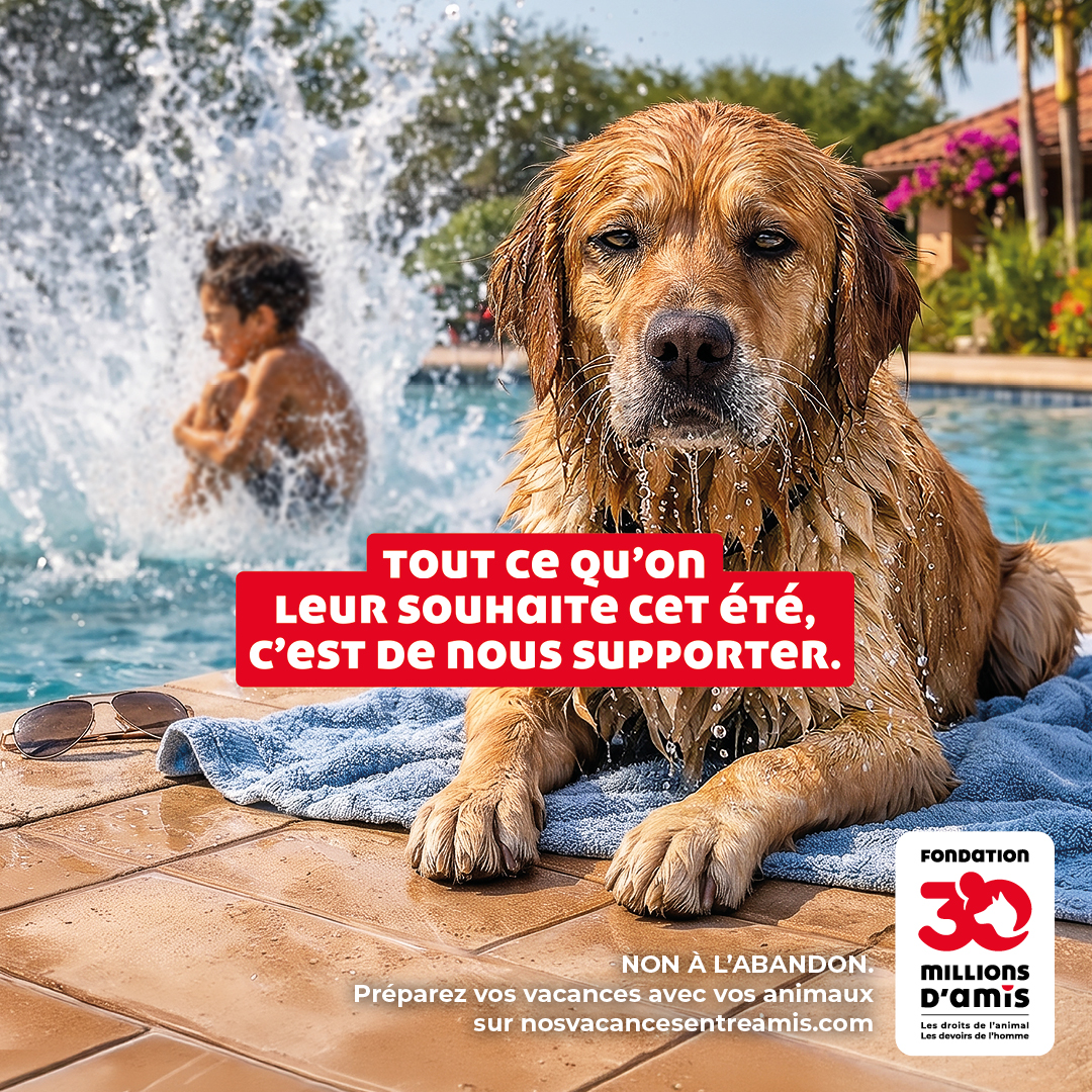 Un été sans abandon