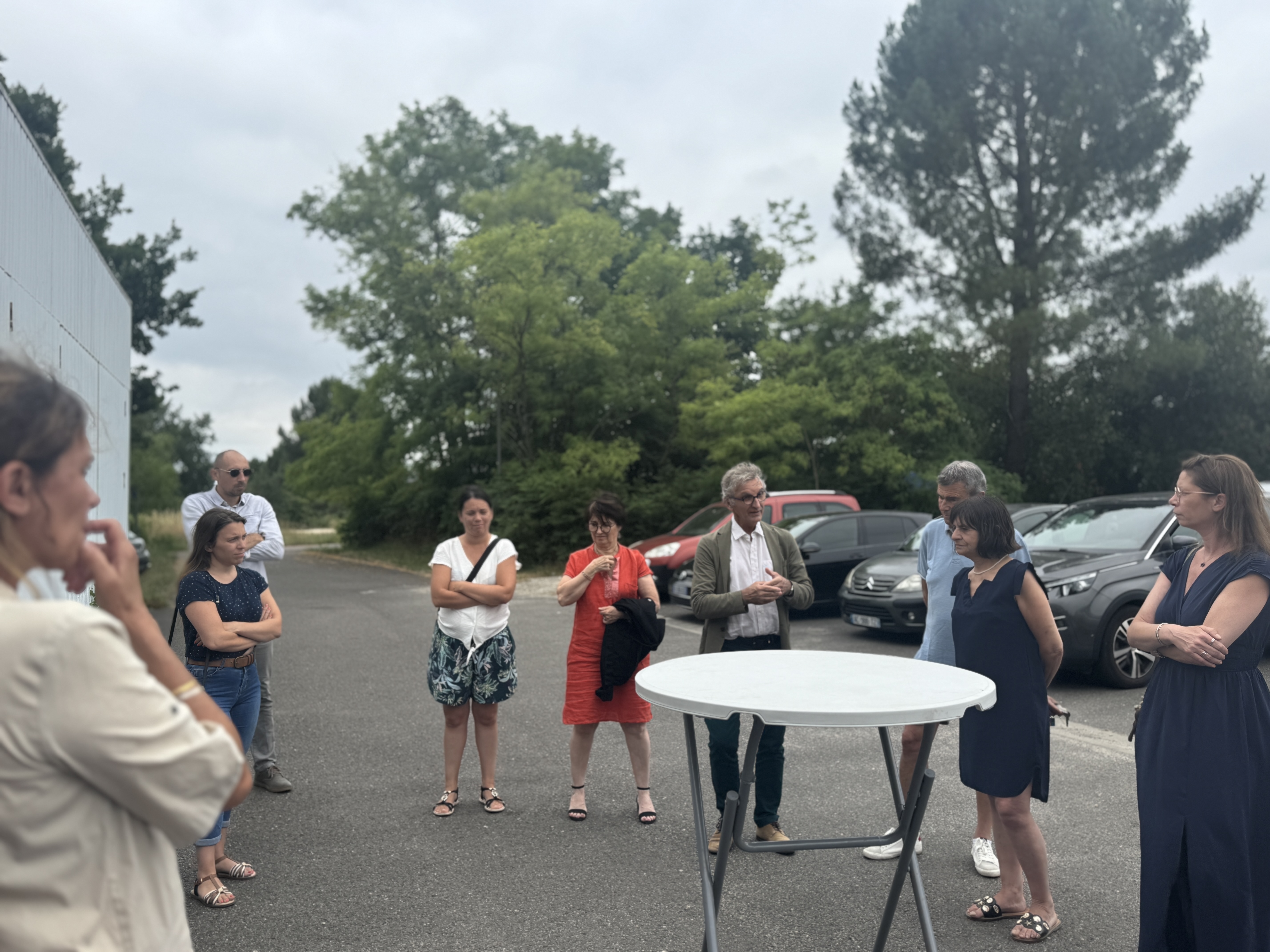 Chats errants - Une opération collective