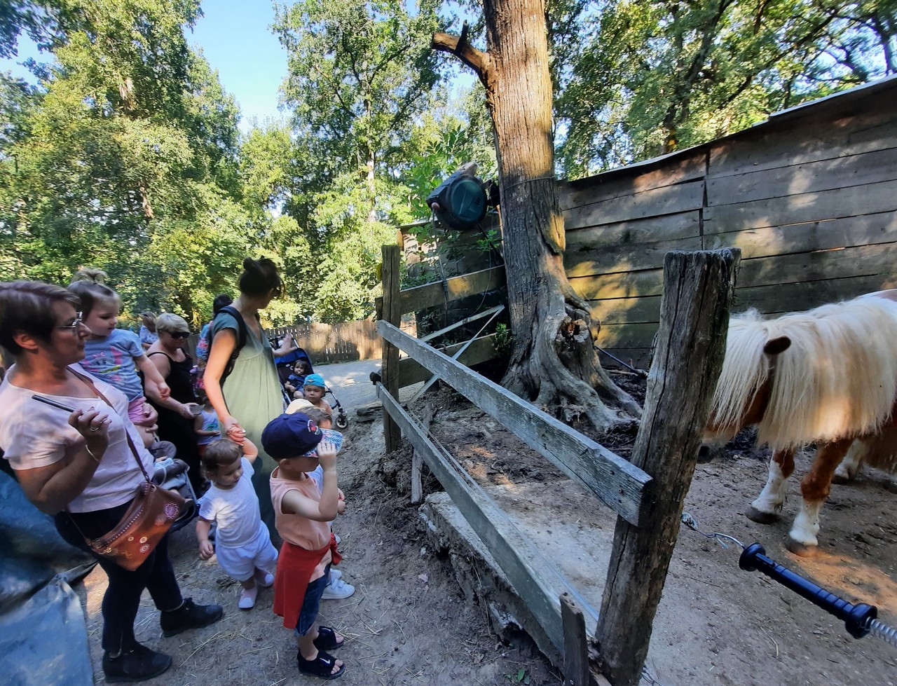 Les sorties de fin d'année du Relais Petite Enfance